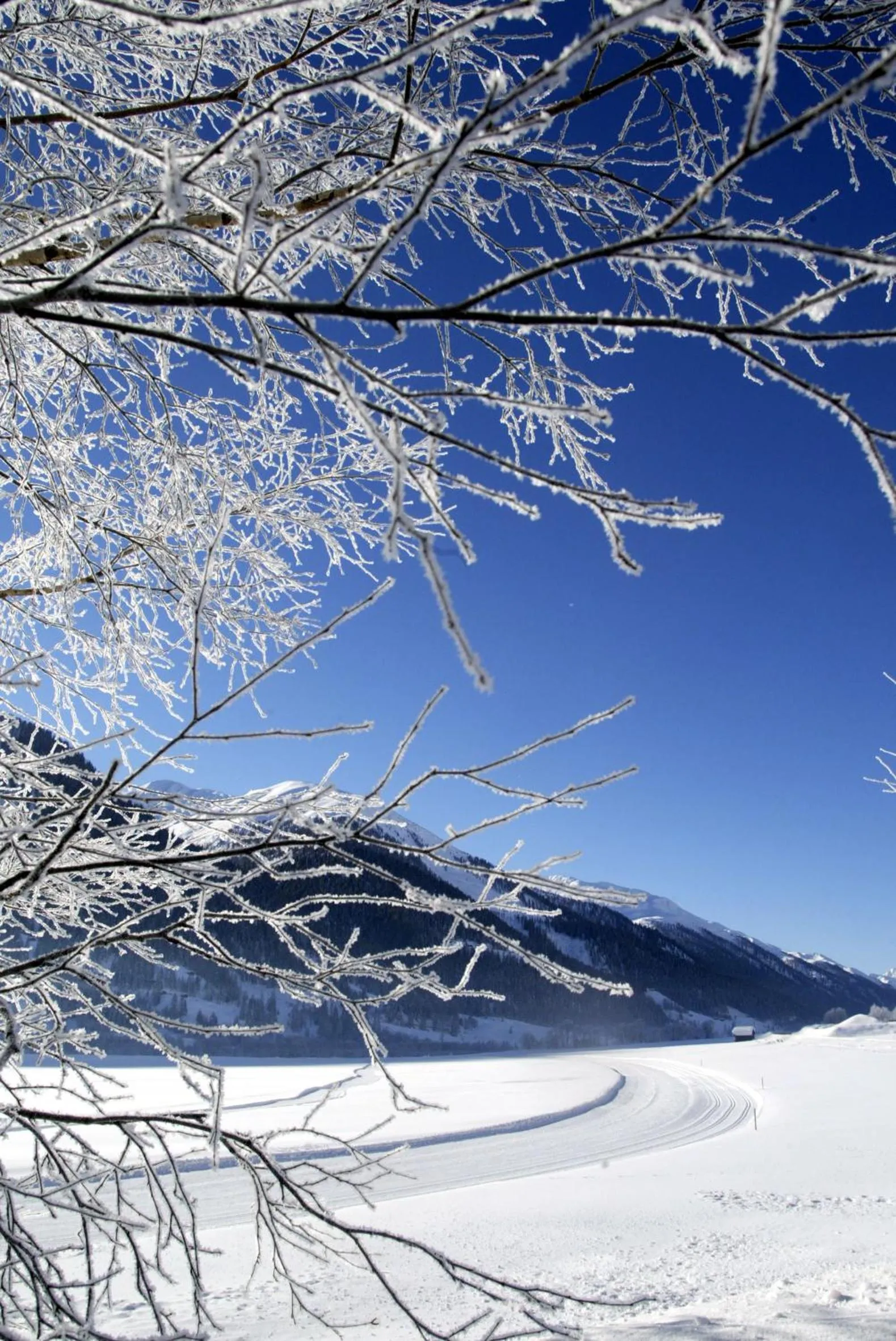 Natural landscape in Hotel Nufenen