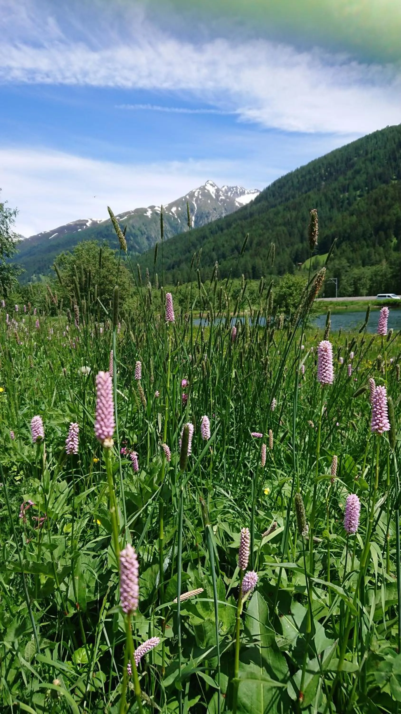 Natural landscape in Hotel Nufenen
