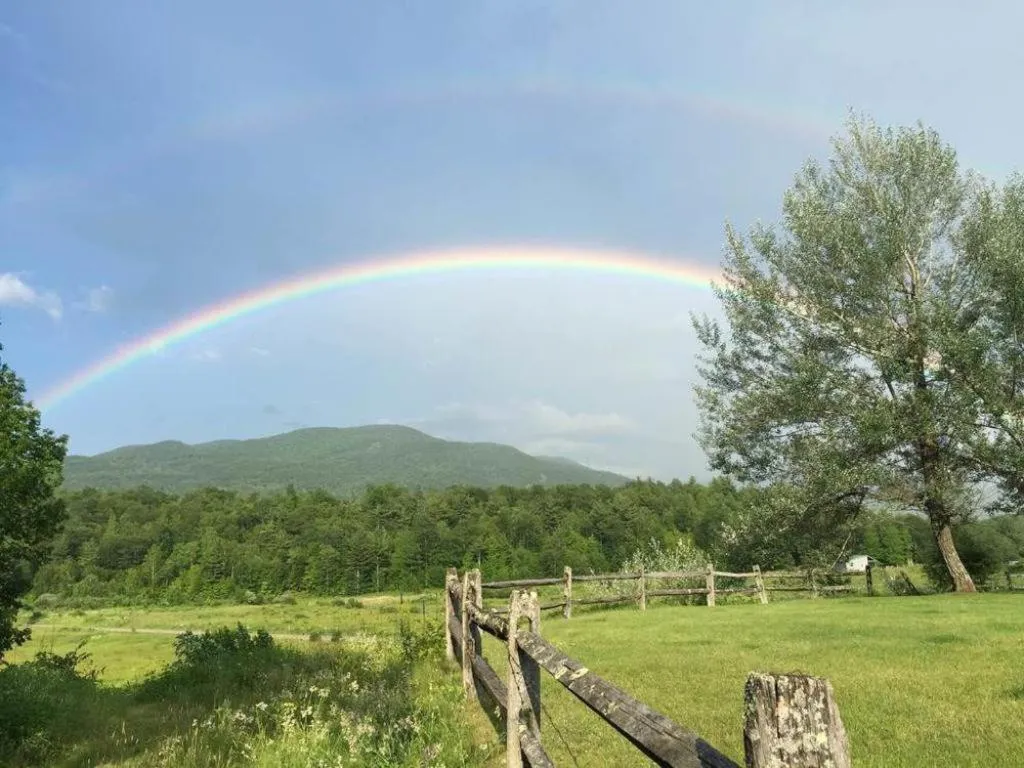 View (from property/room) in Bark Eater Inn