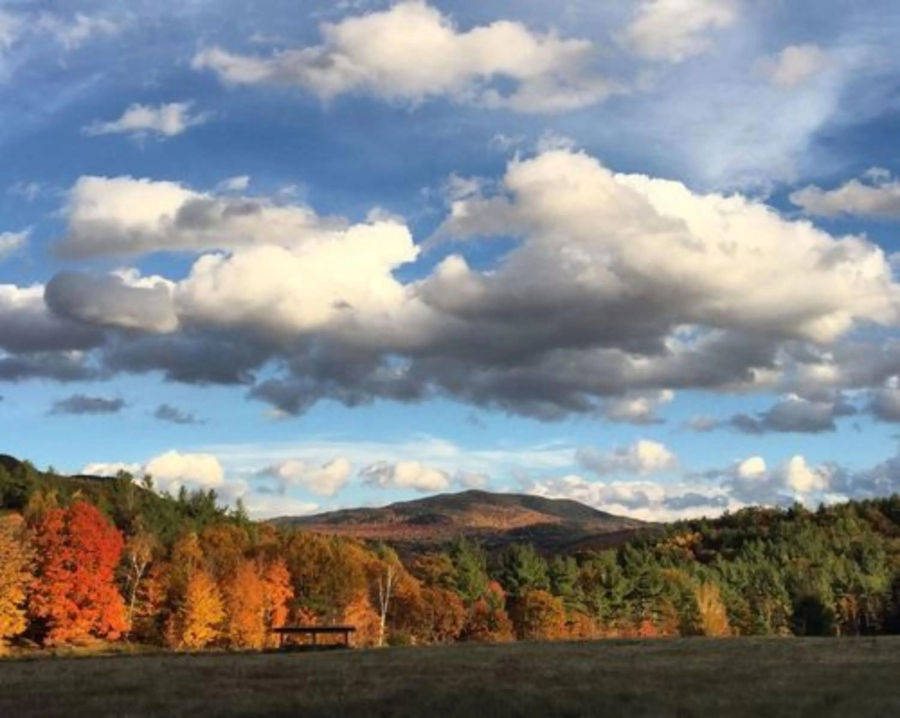 View (from property/room) in Bark Eater Inn