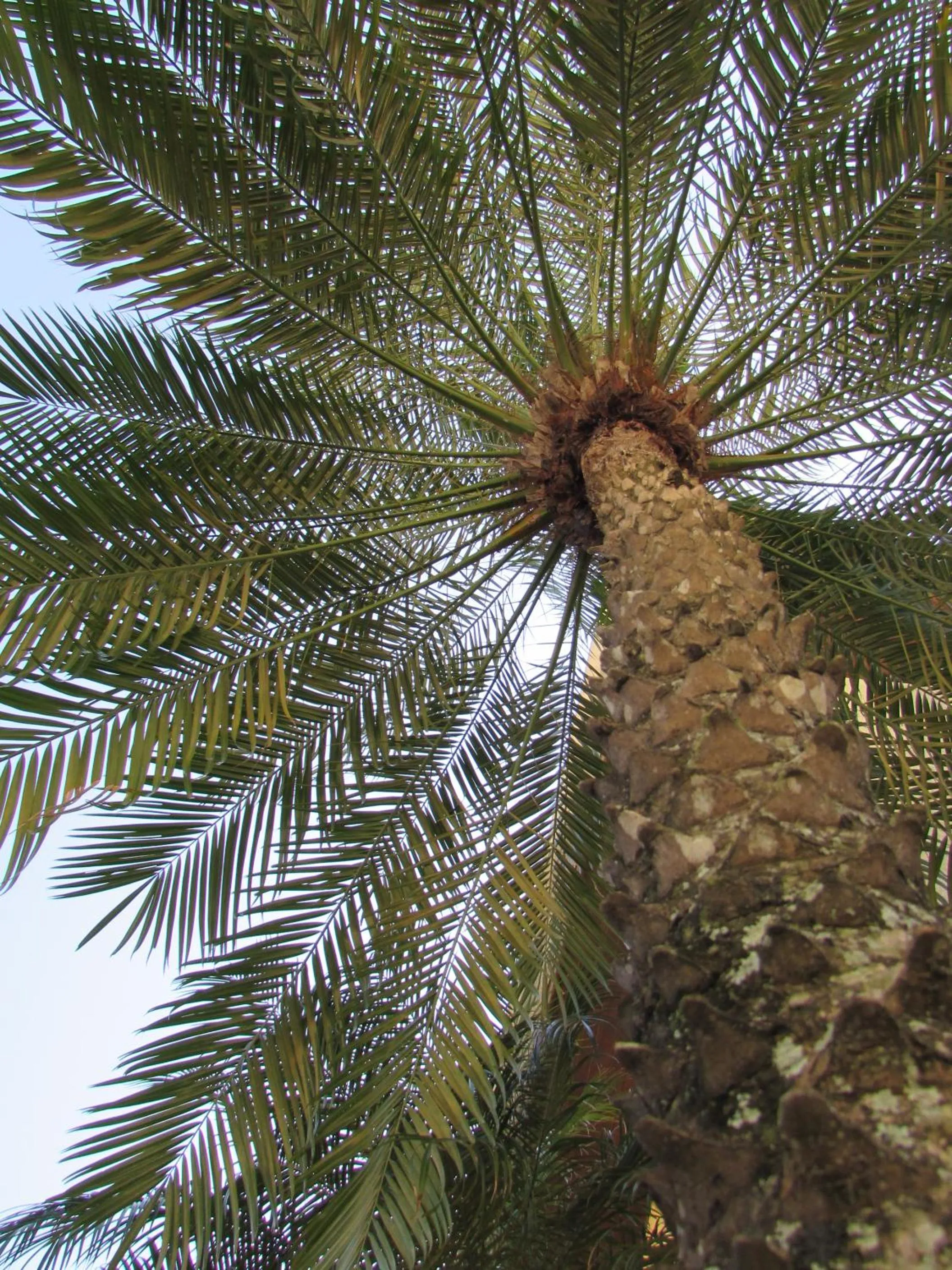 Natural landscape in Vistabela Resort & Spa