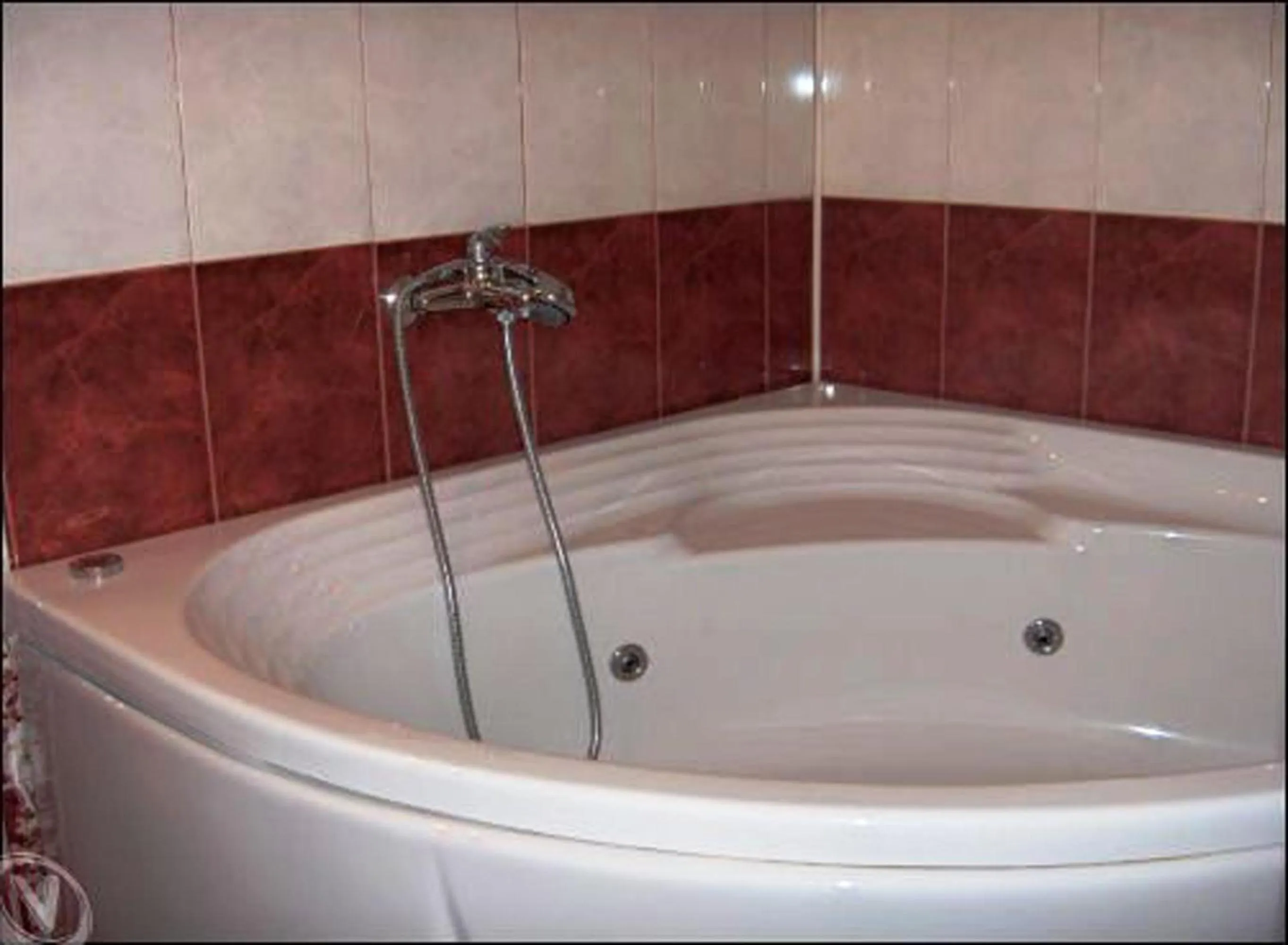 Area and facilities in Hotel Color