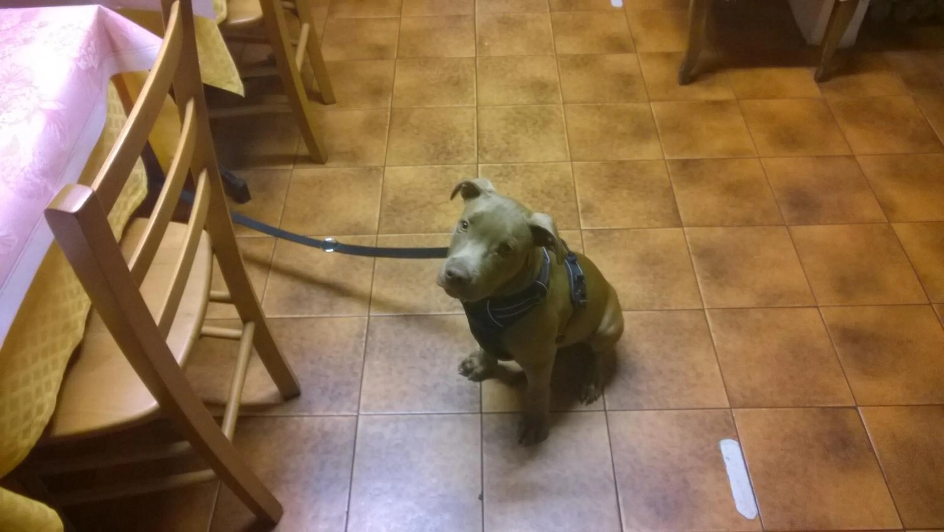 Guests in Antico Albergo Sant'Antonio