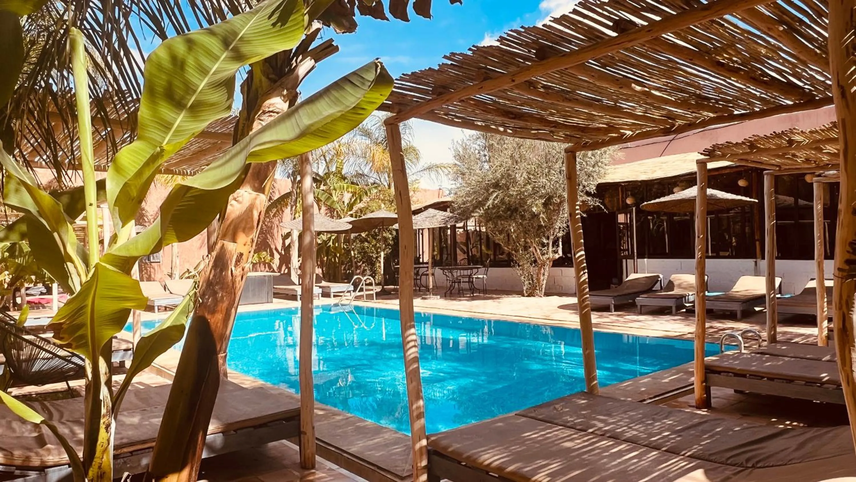 Swimming pool in Coco Canel Marrakech
