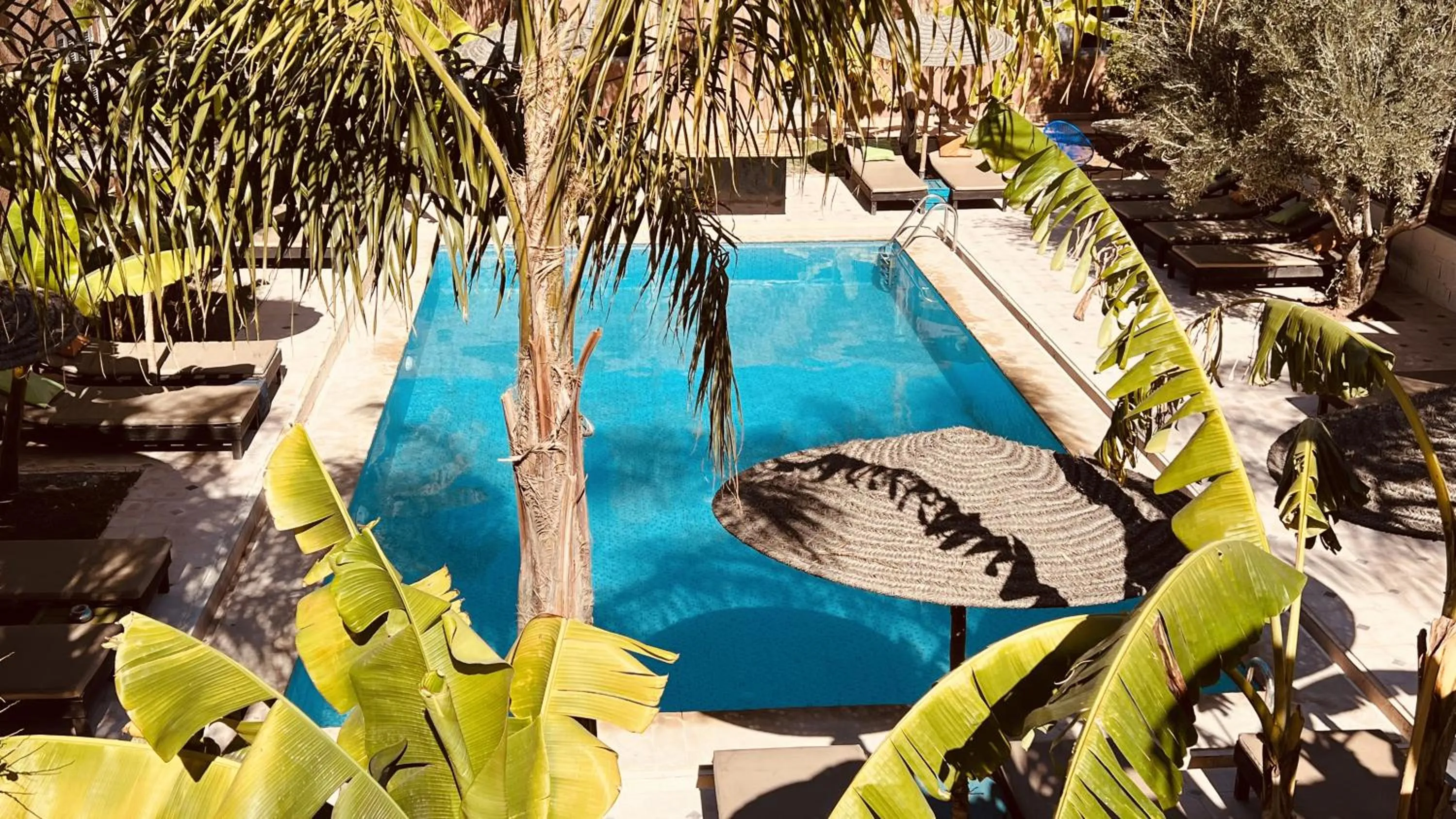 Pool view in Coco Canel Marrakech