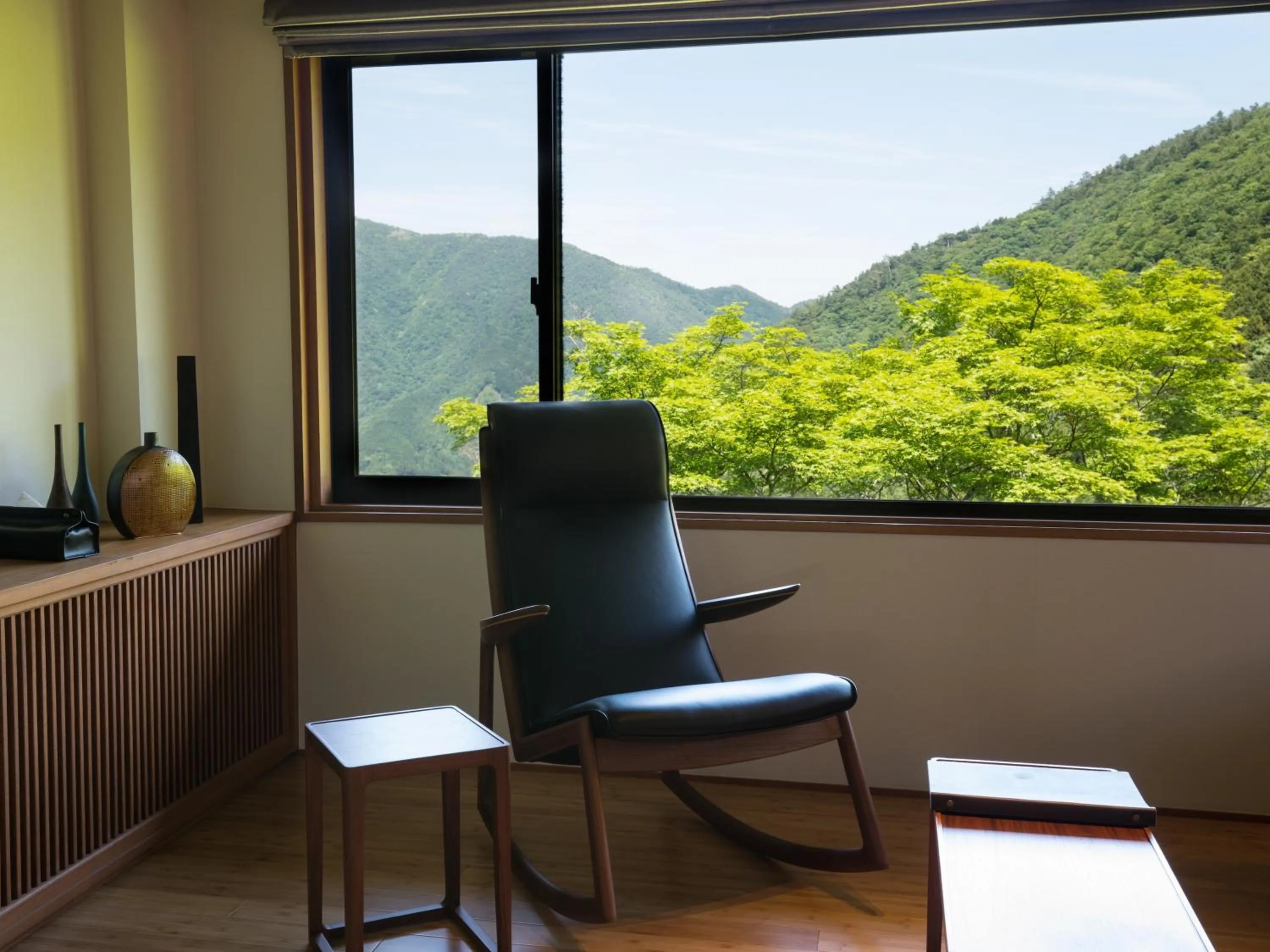 Mountain view in barhotel Hakone Kazan