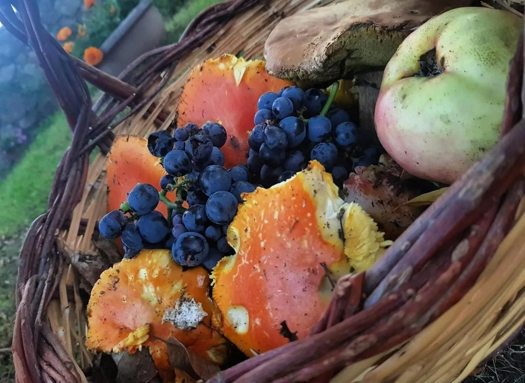 Food in B&B Leofreni Natura