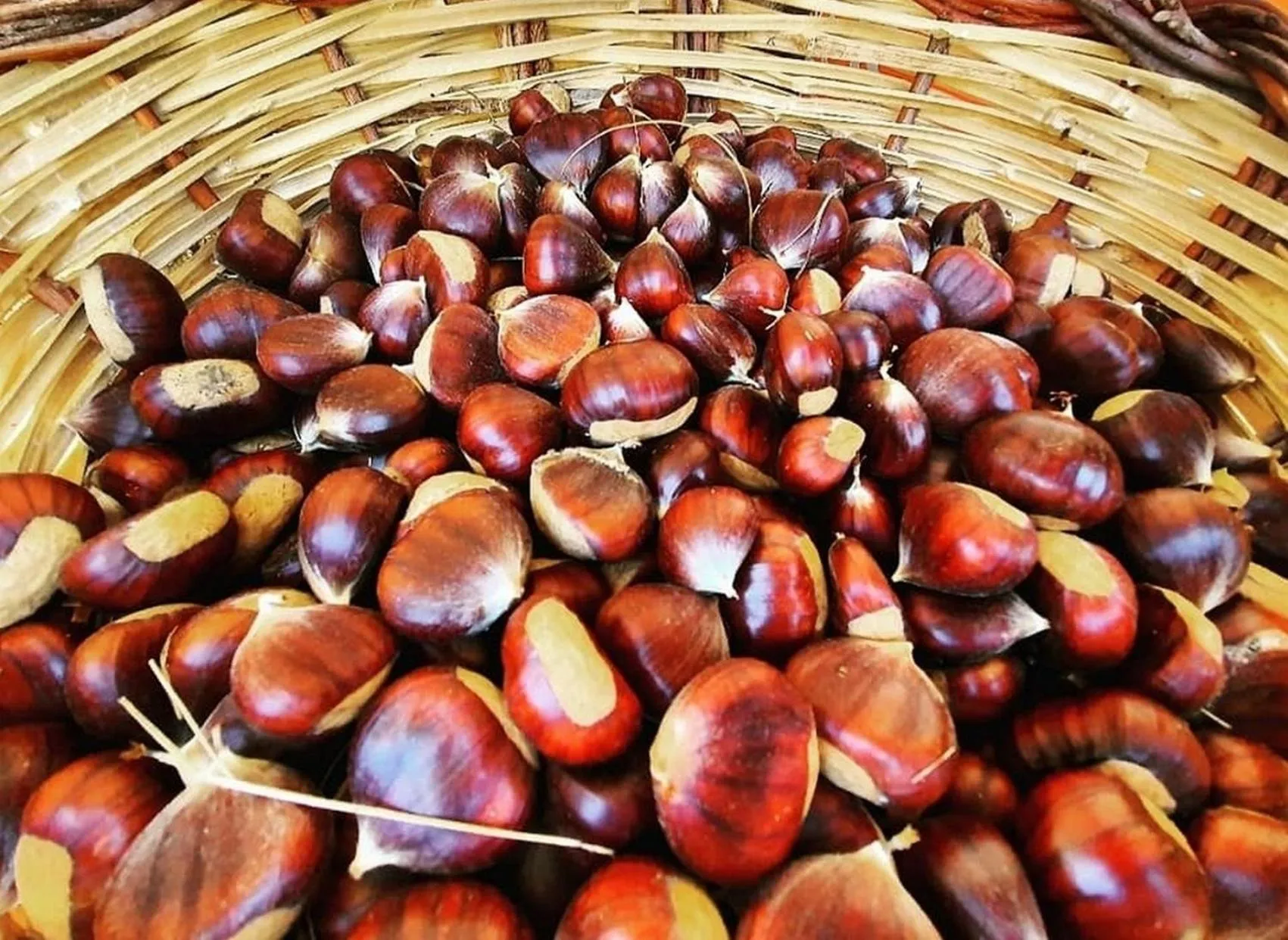 Food in B&B Leofreni Natura