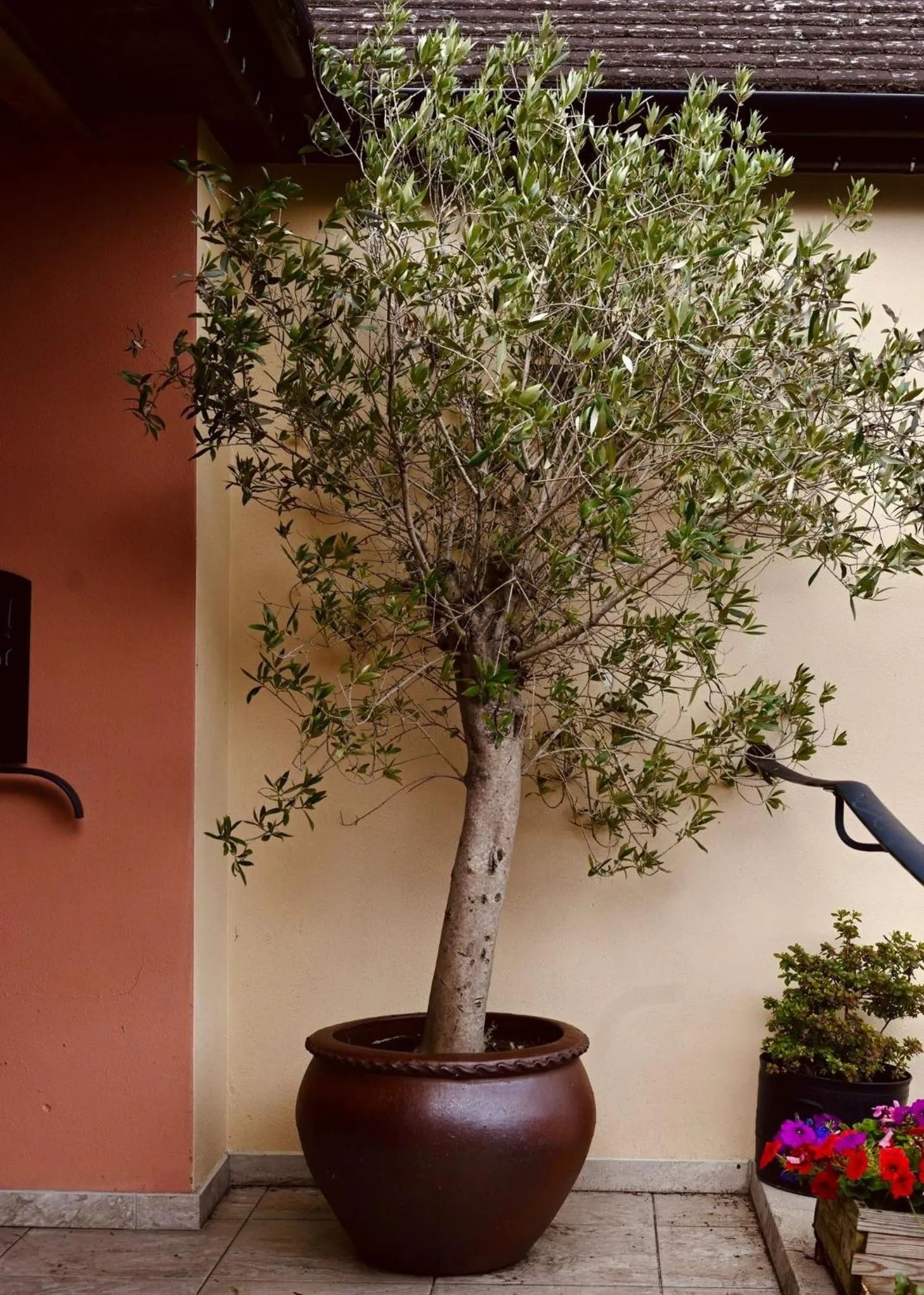 Other in The Bakery B&B