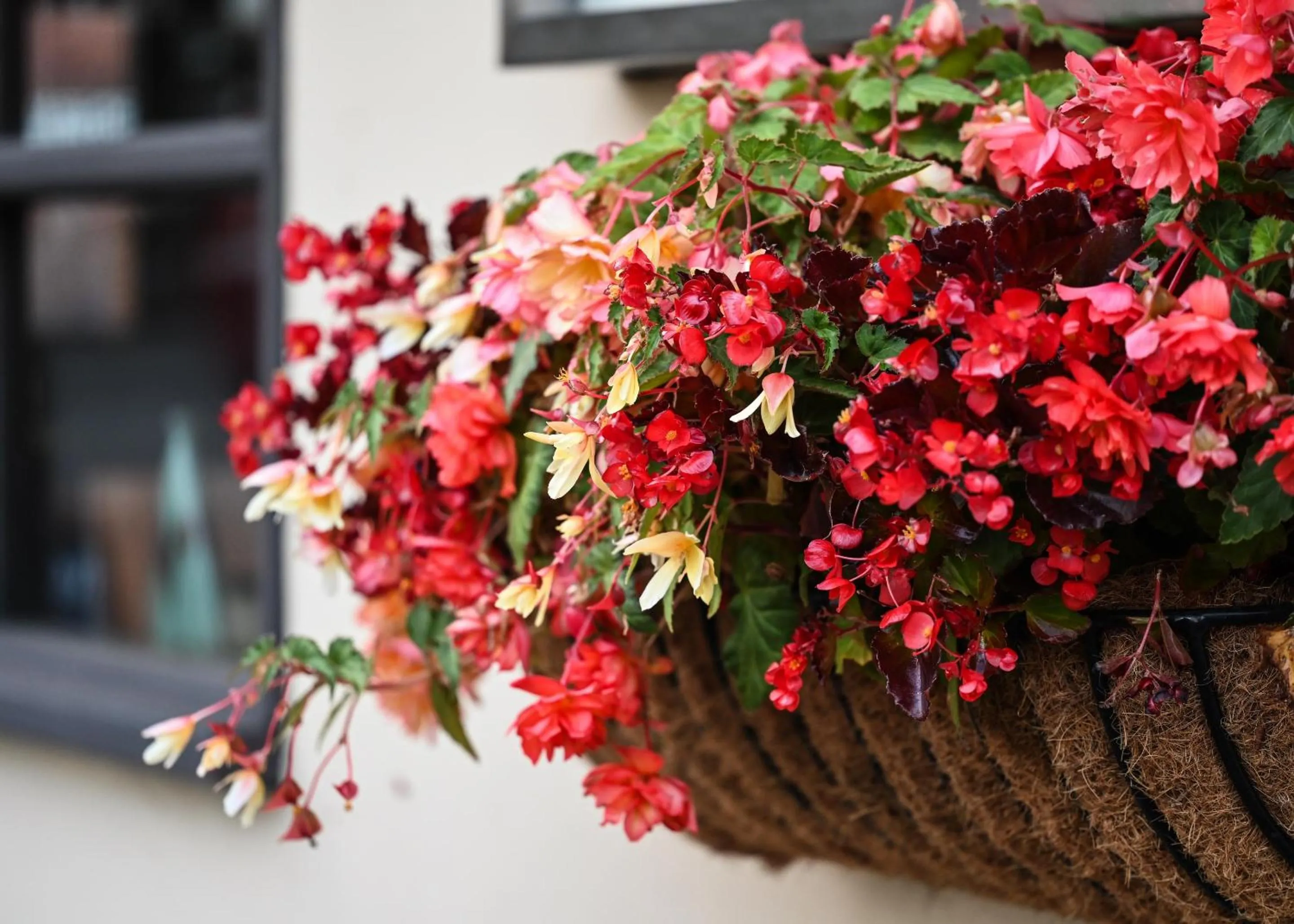 Other in The Bakery B&B