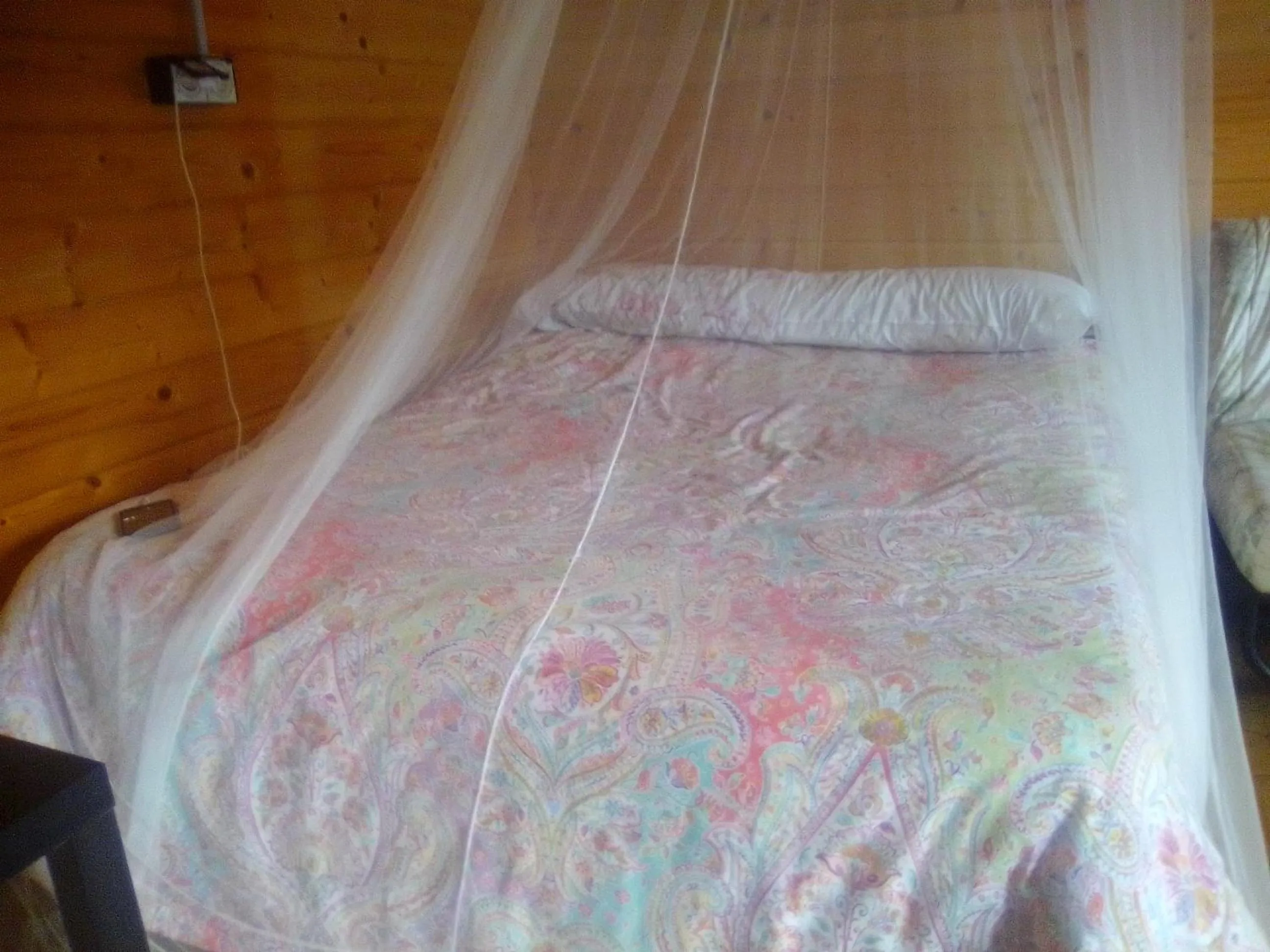 Bed in Coruña Backpackers Hostel