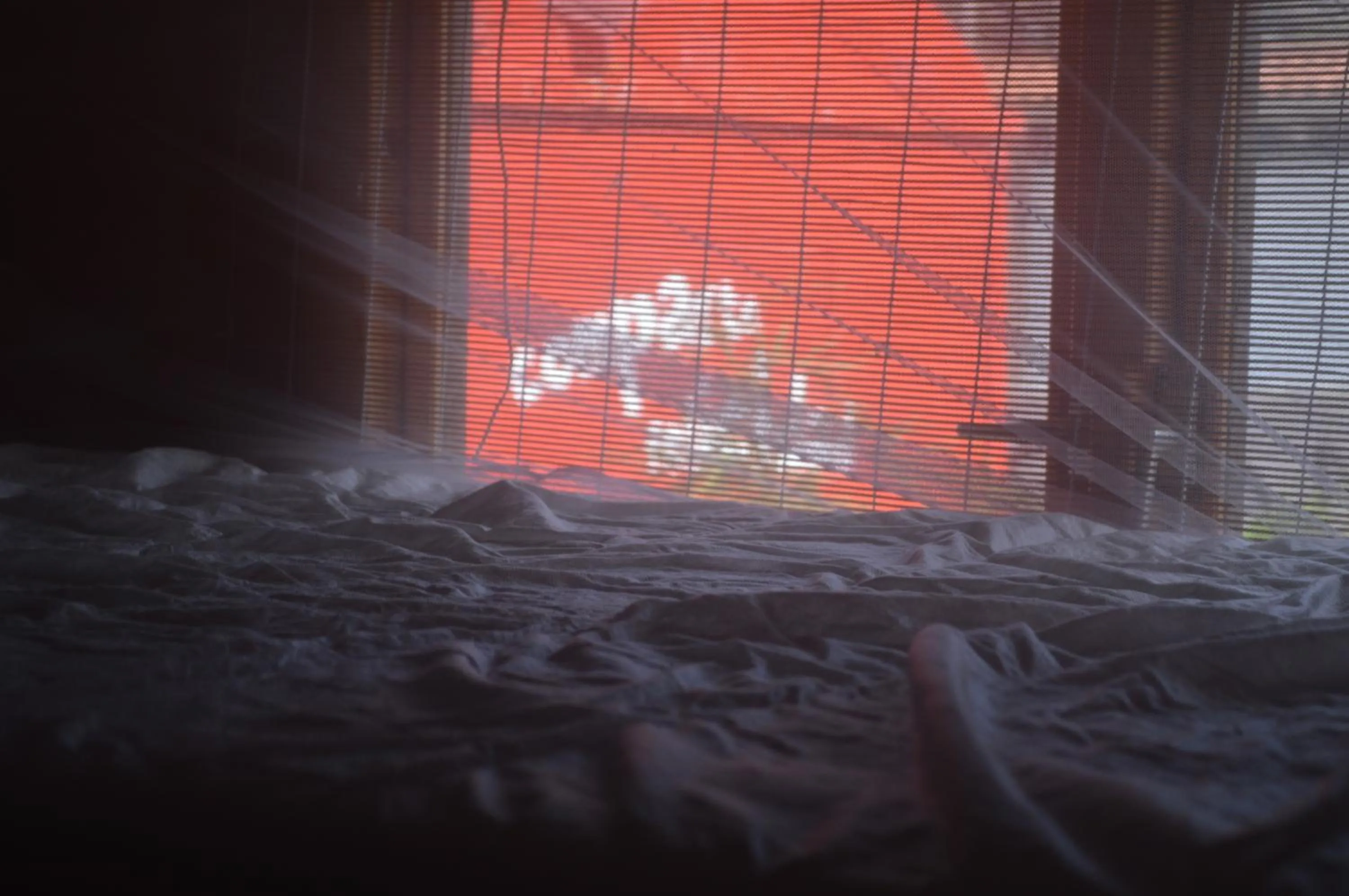 bunk bed, Bed in Coruña Backpackers Hostel