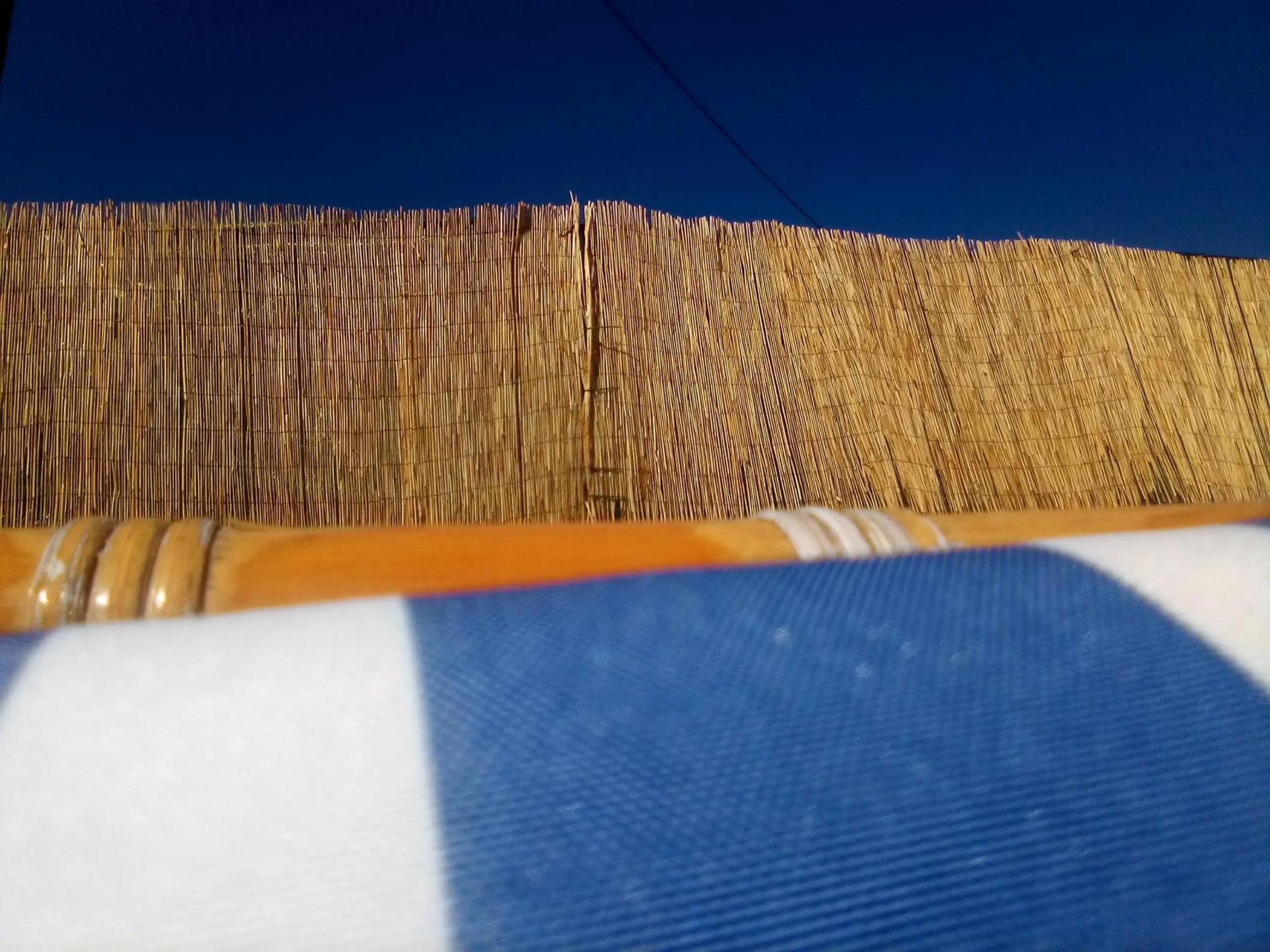 Garden in Coruña Backpackers Hostel