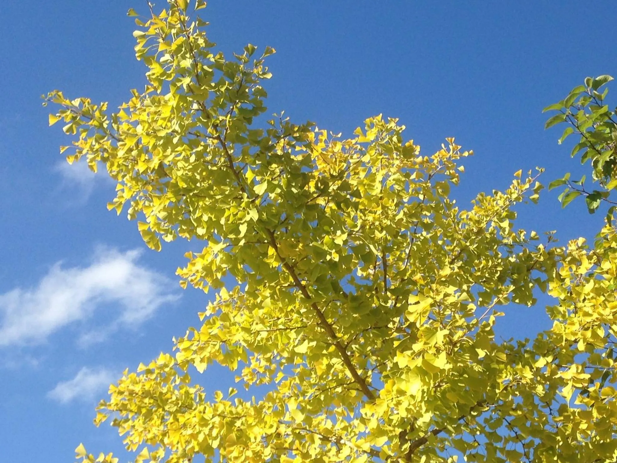 Garden view in Le Relais des Malettes Chambres d'hôtes B&B