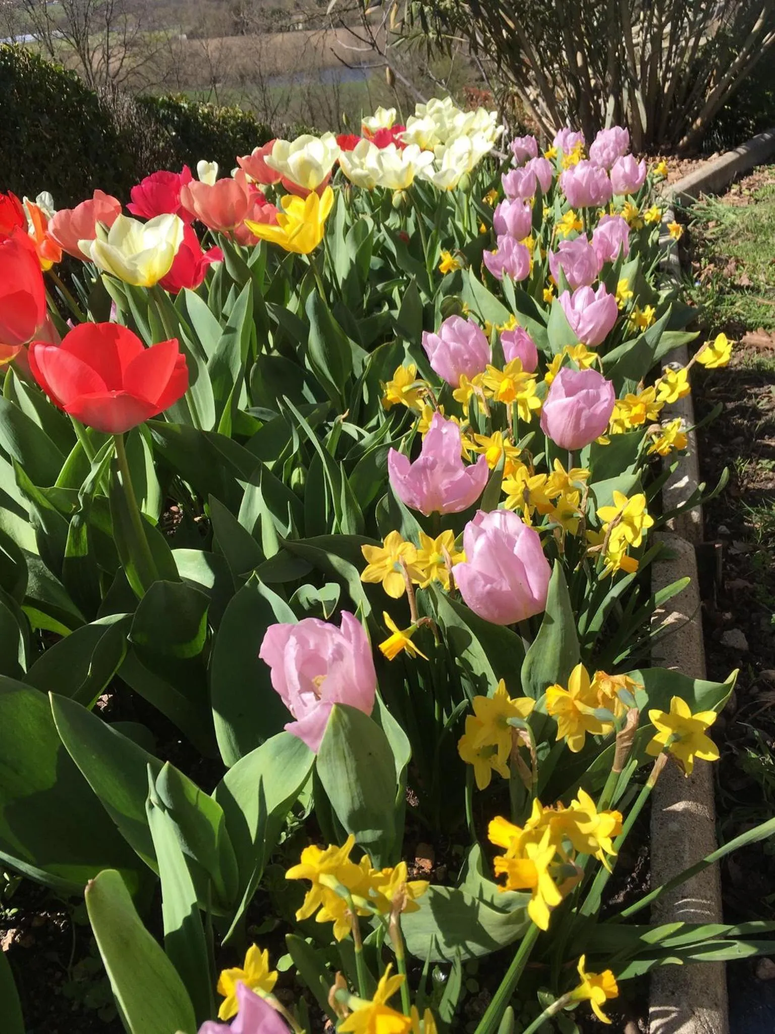 Garden in Le Relais des Malettes Chambres d'hôtes B&B