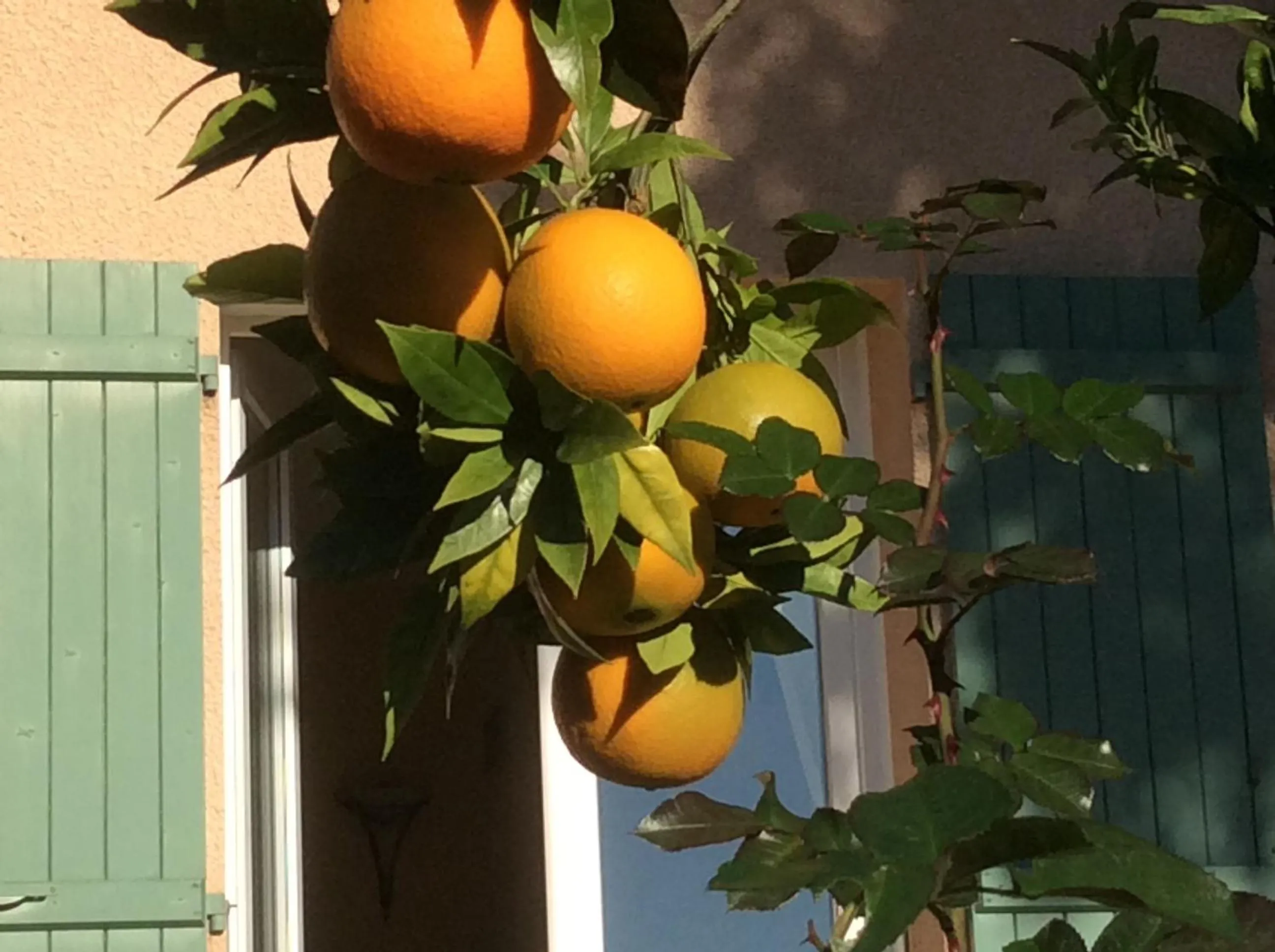 Balcony/Terrace in Le Relais des Malettes Chambres d'hôtes B&B