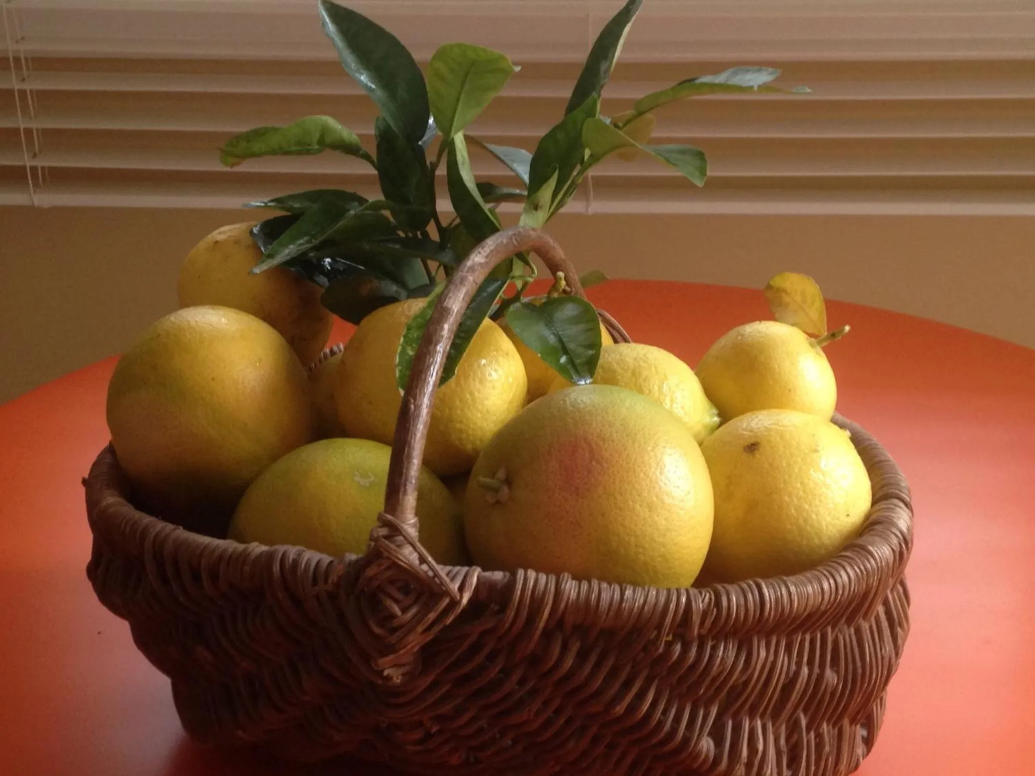 Food and drinks in Le Relais des Malettes Chambres d'hôtes B&B