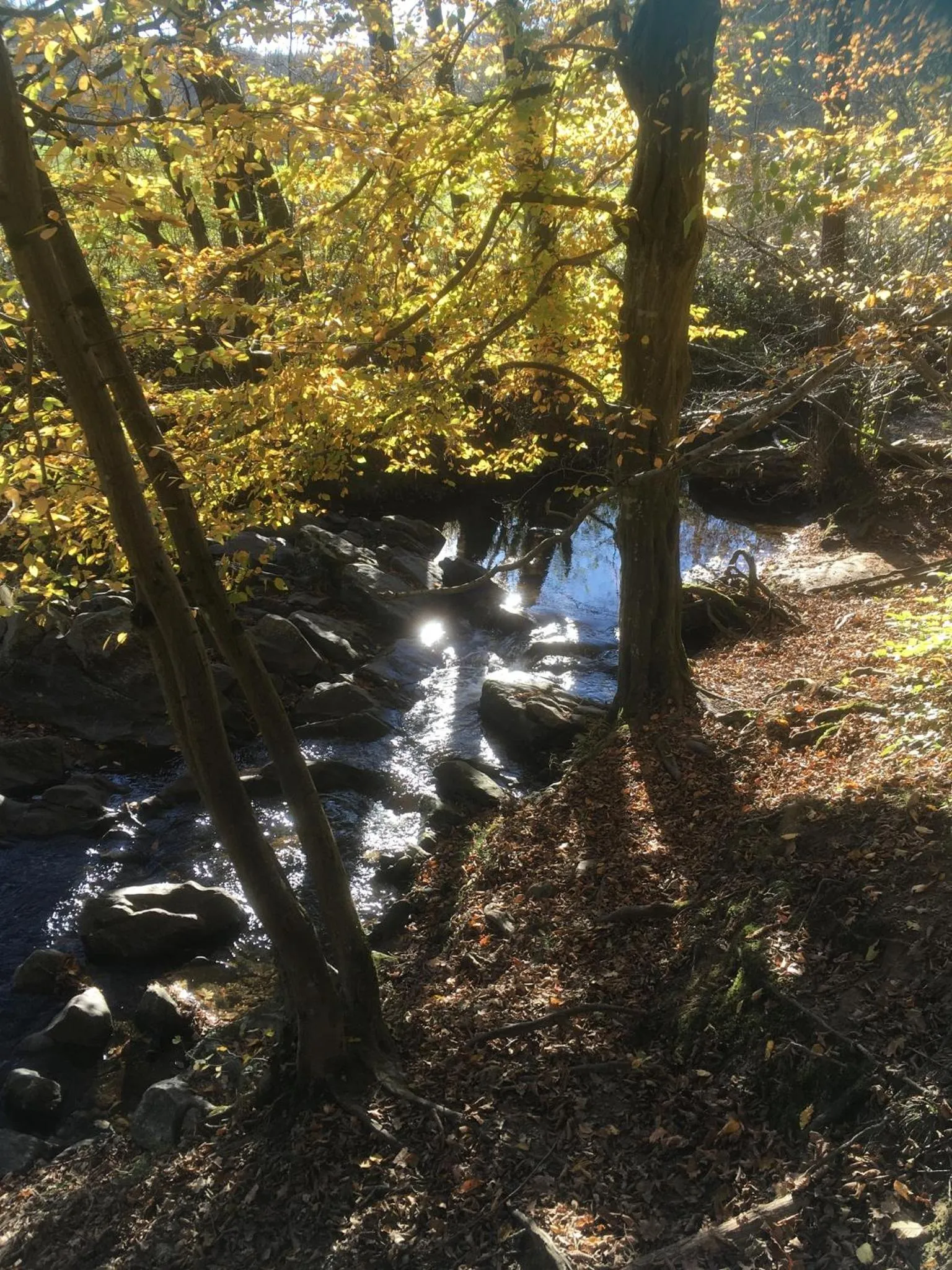 Nearby landmark in Le Relais des Malettes Chambres d'hôtes B&B