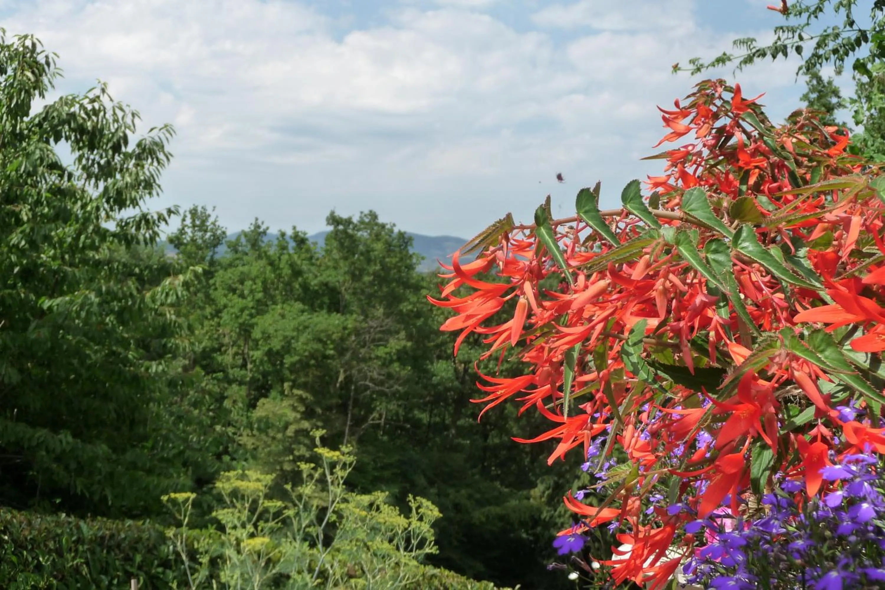 View (from property/room) in Le Relais des Malettes Chambres d'hôtes B&B