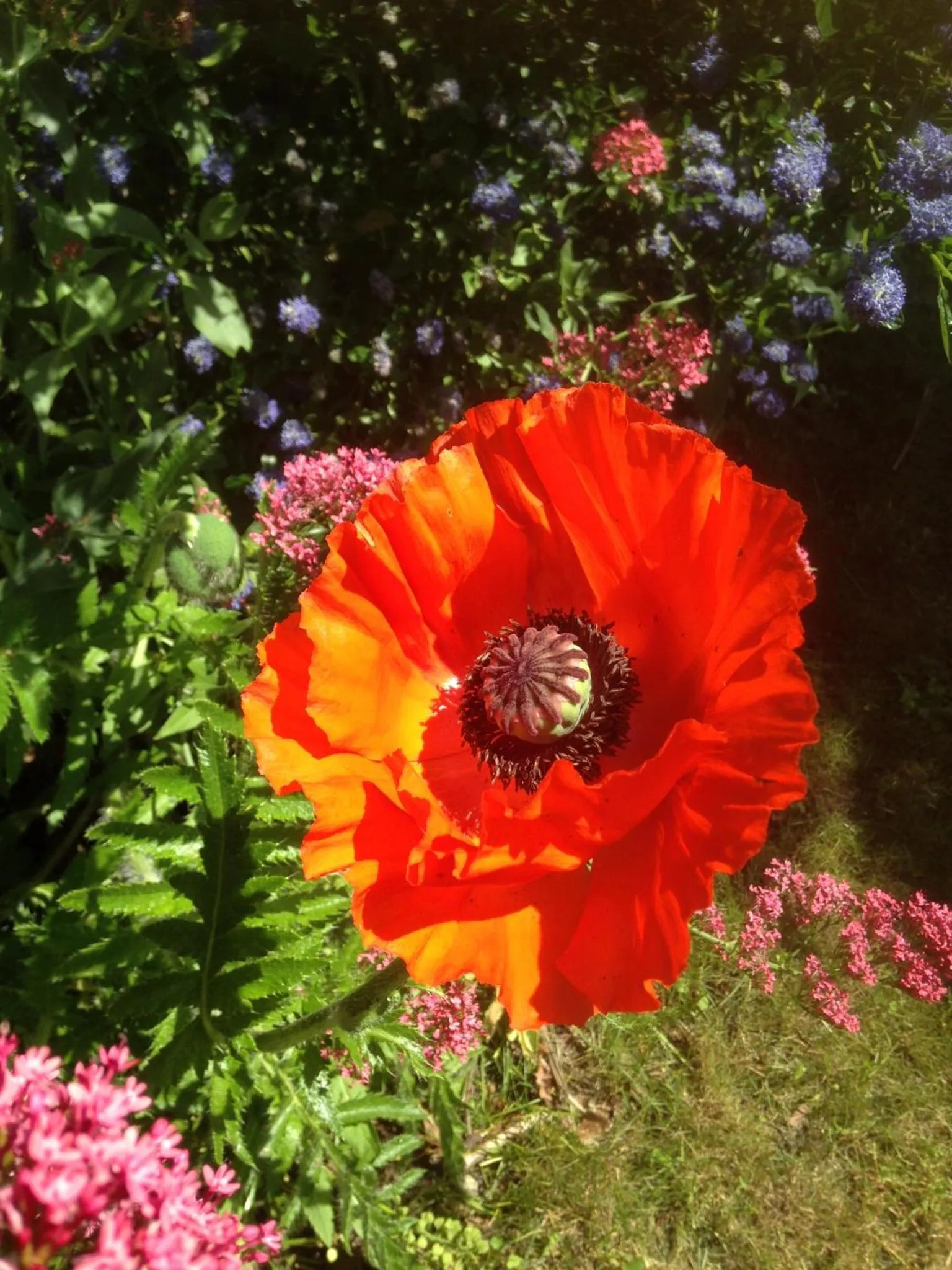 Garden in Le Relais des Malettes Chambres d'hôtes B&B