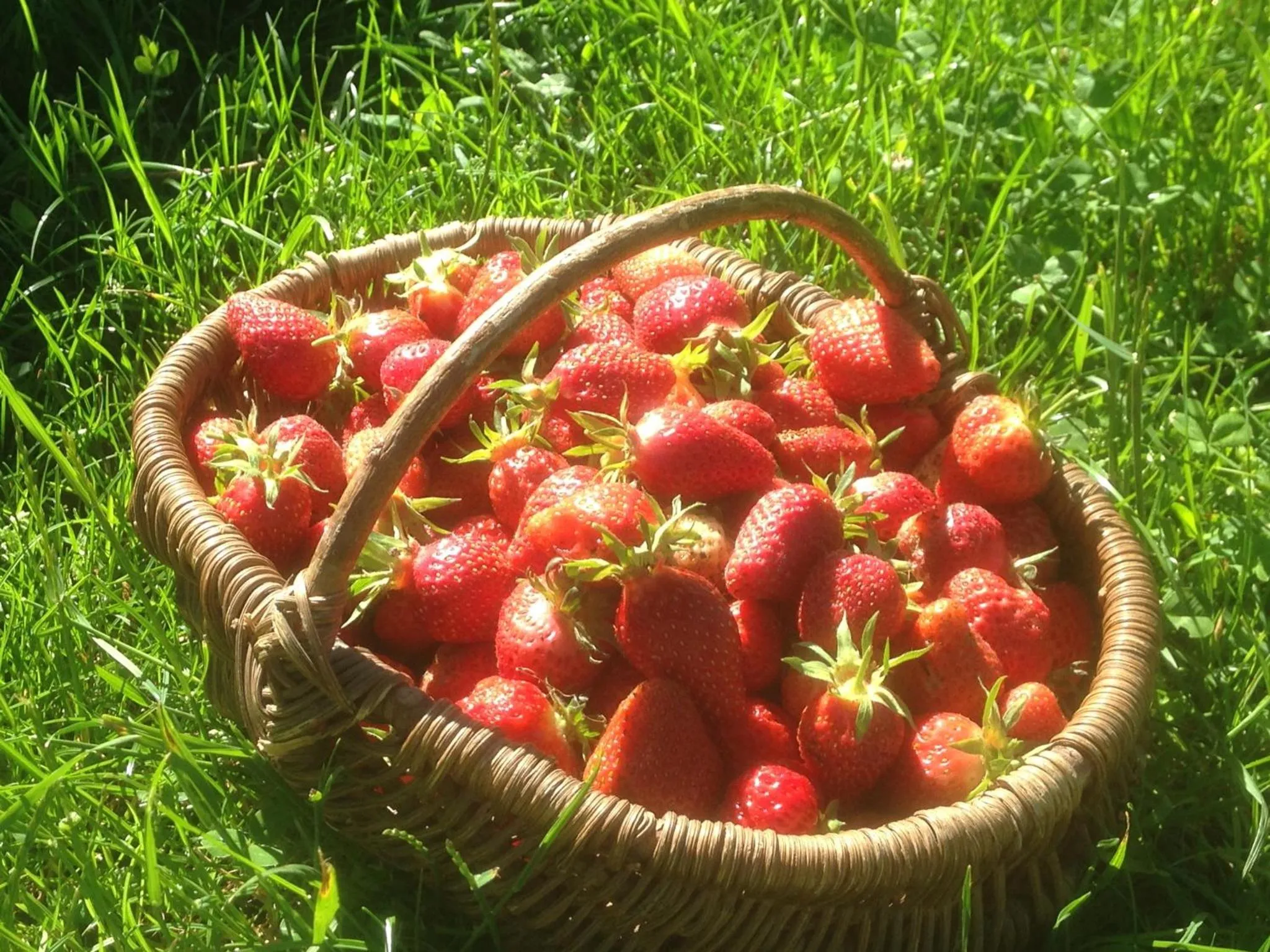 Garden in Le Relais des Malettes Chambres d'hôtes B&B