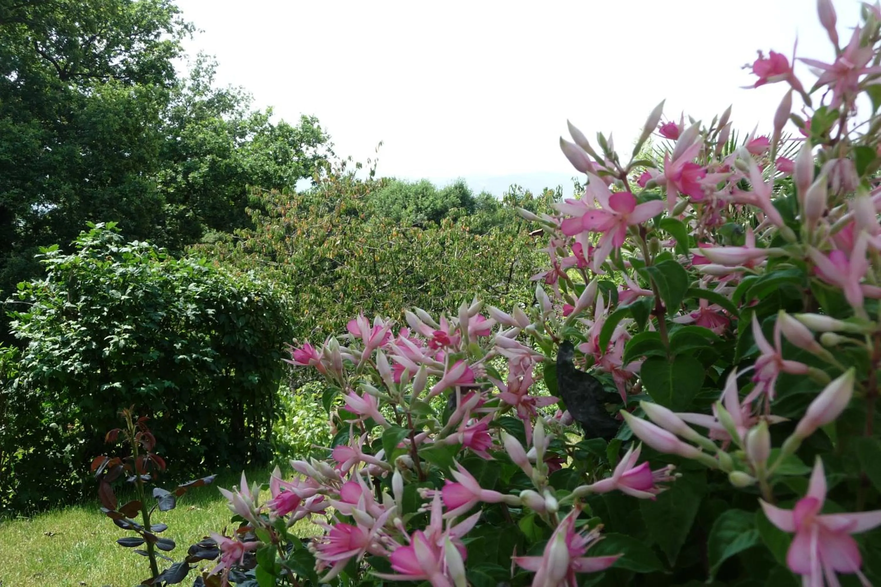 View (from property/room) in Le Relais des Malettes Chambres d'hôtes B&B