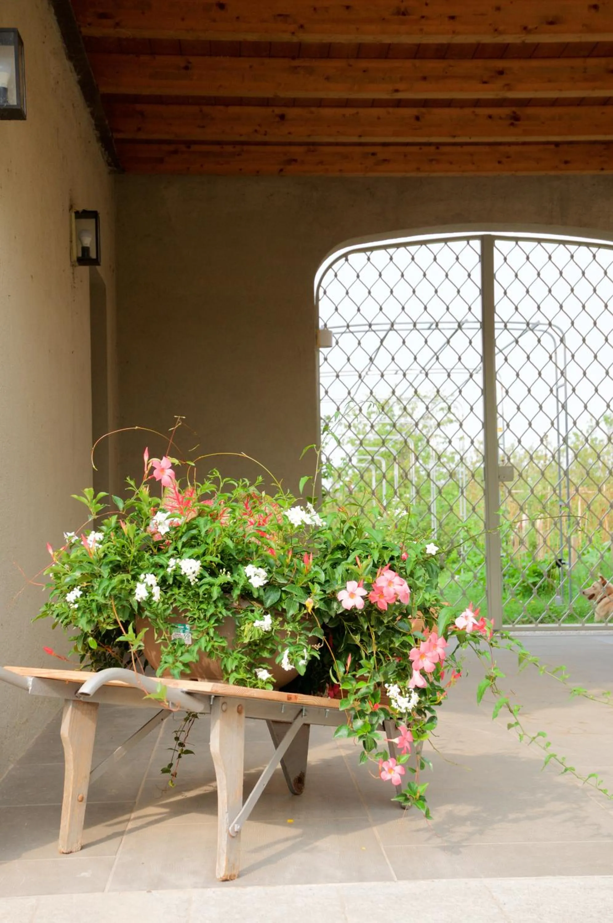 Garden in Cascina delle Mele
