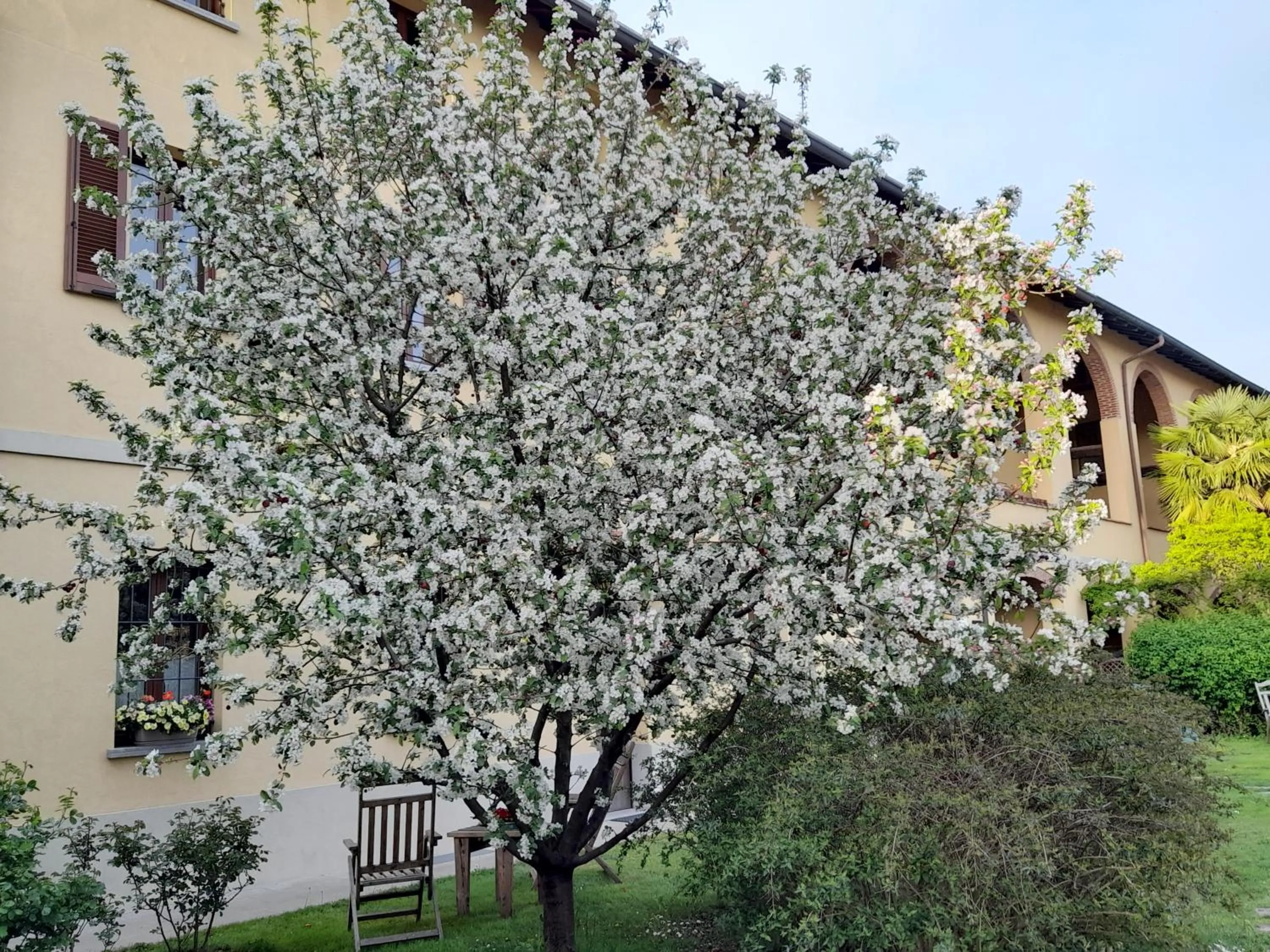 Property building in Cascina delle Mele