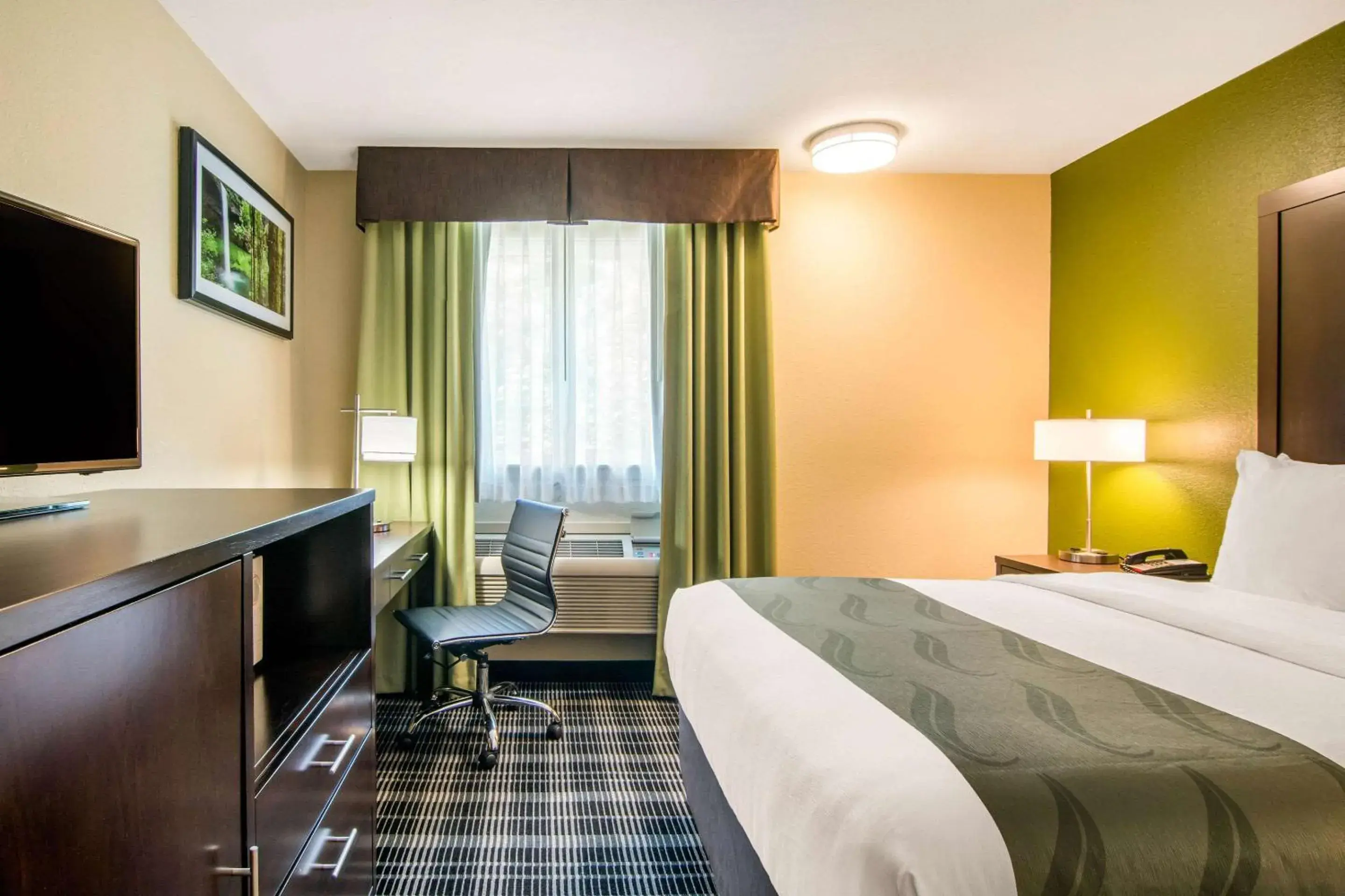 King Room - Disability Access/Non-Smoking in Quality Inn & Suites Albany Corvallis King Room - Disability Access/Non-Smoking in Quality Inn & Suites Albany Corvallis