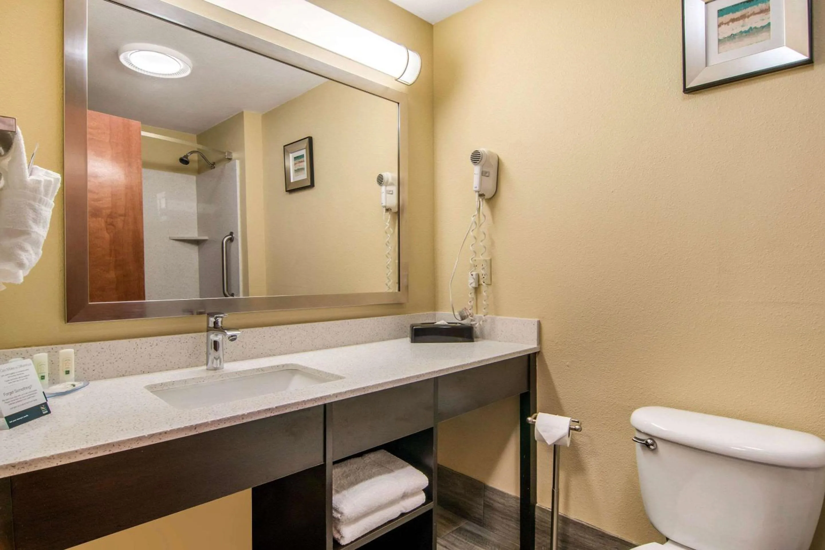 Bathroom in Quality Inn & Suites Albany Corvallis