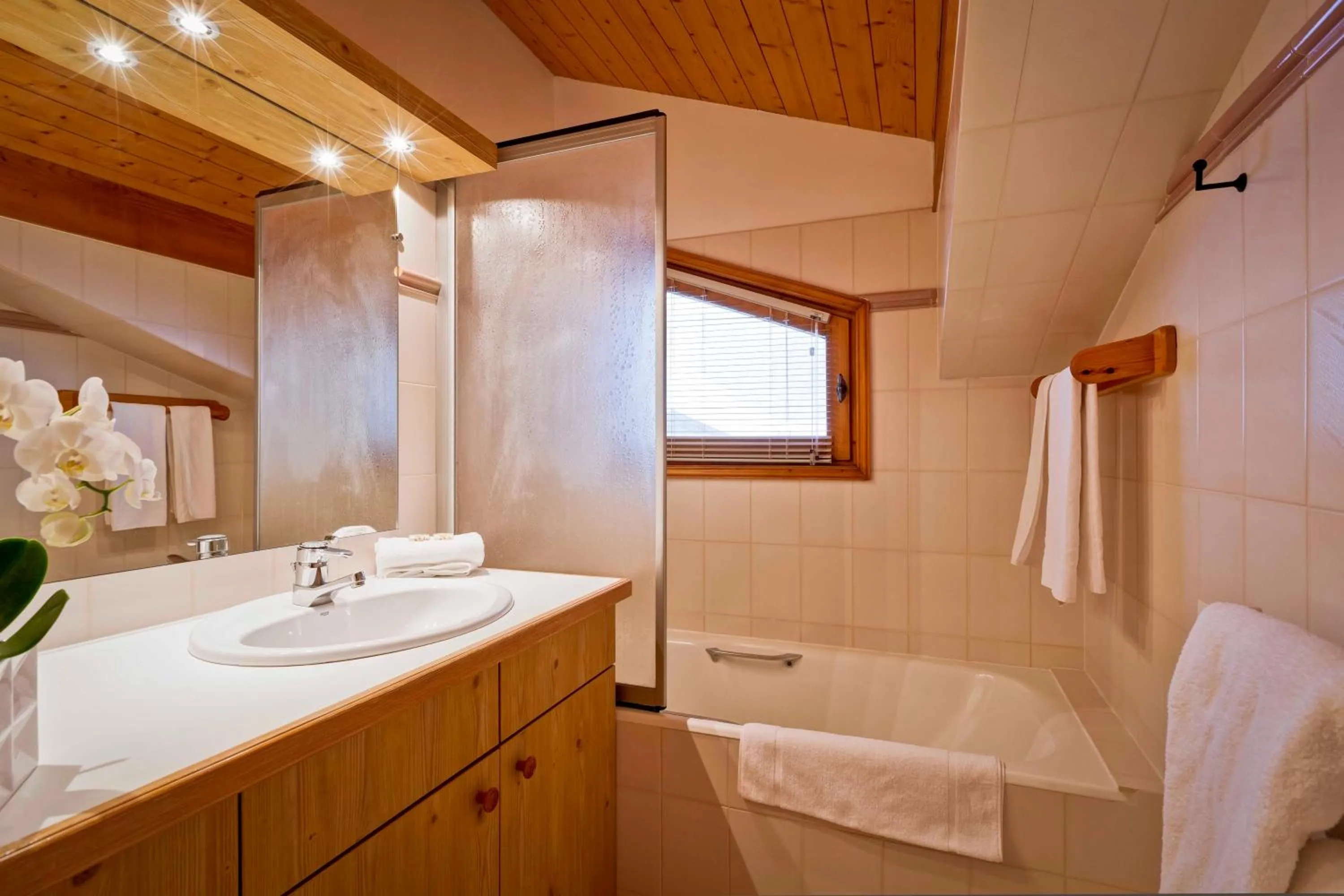 Bathroom in Hotel les Flocons