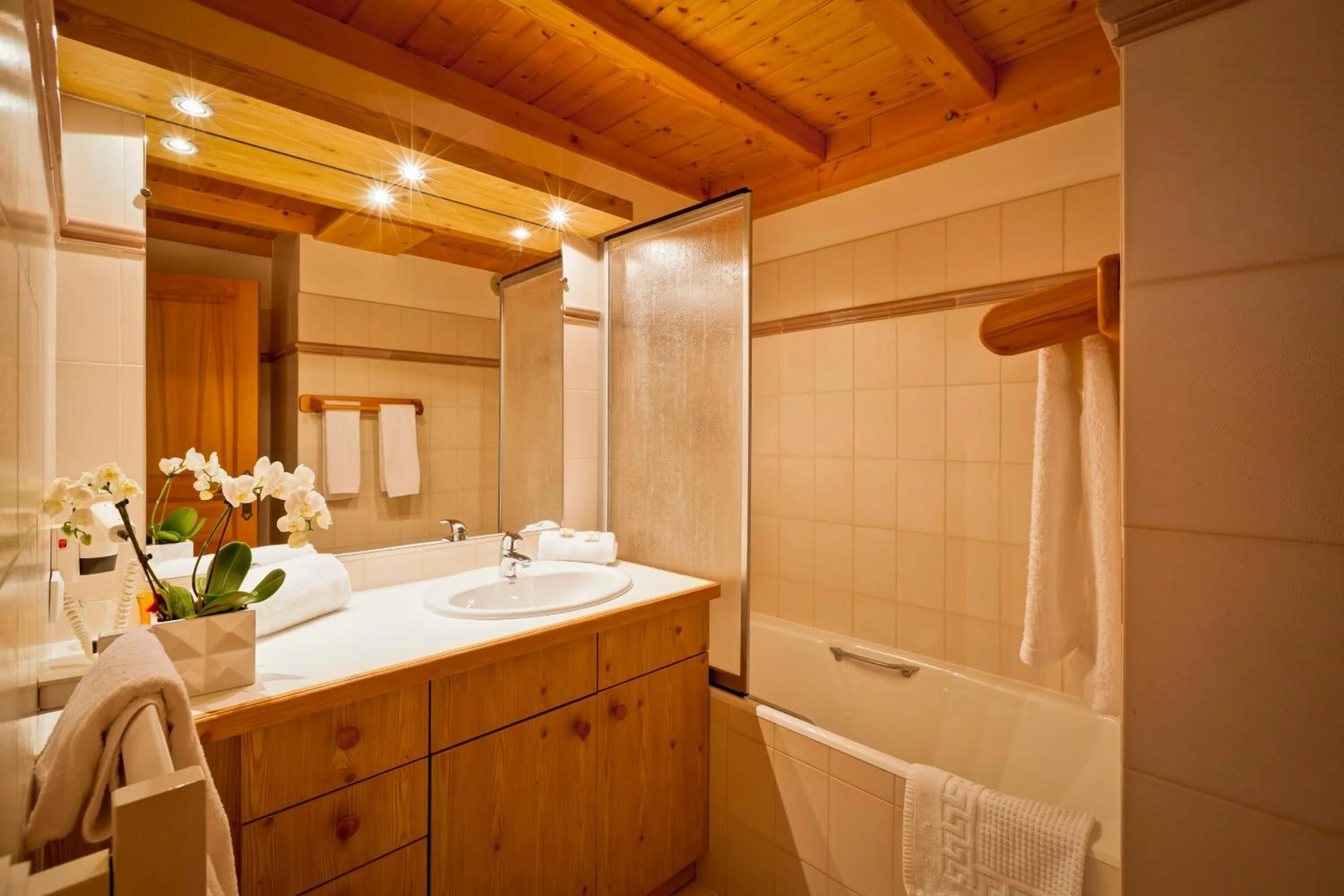 Shower in Hotel les Flocons