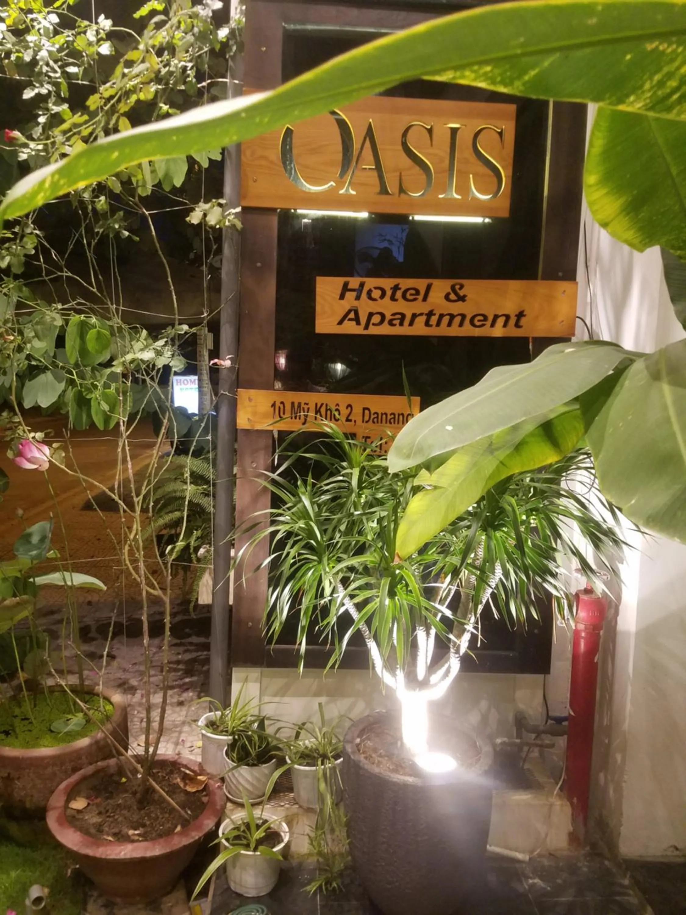 Oasis Hotel & Apartment
