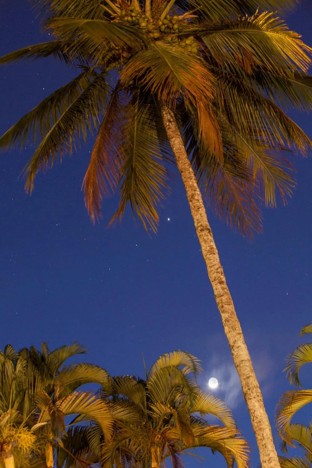 Night in Giprita Wellness Hotel Ubatuba