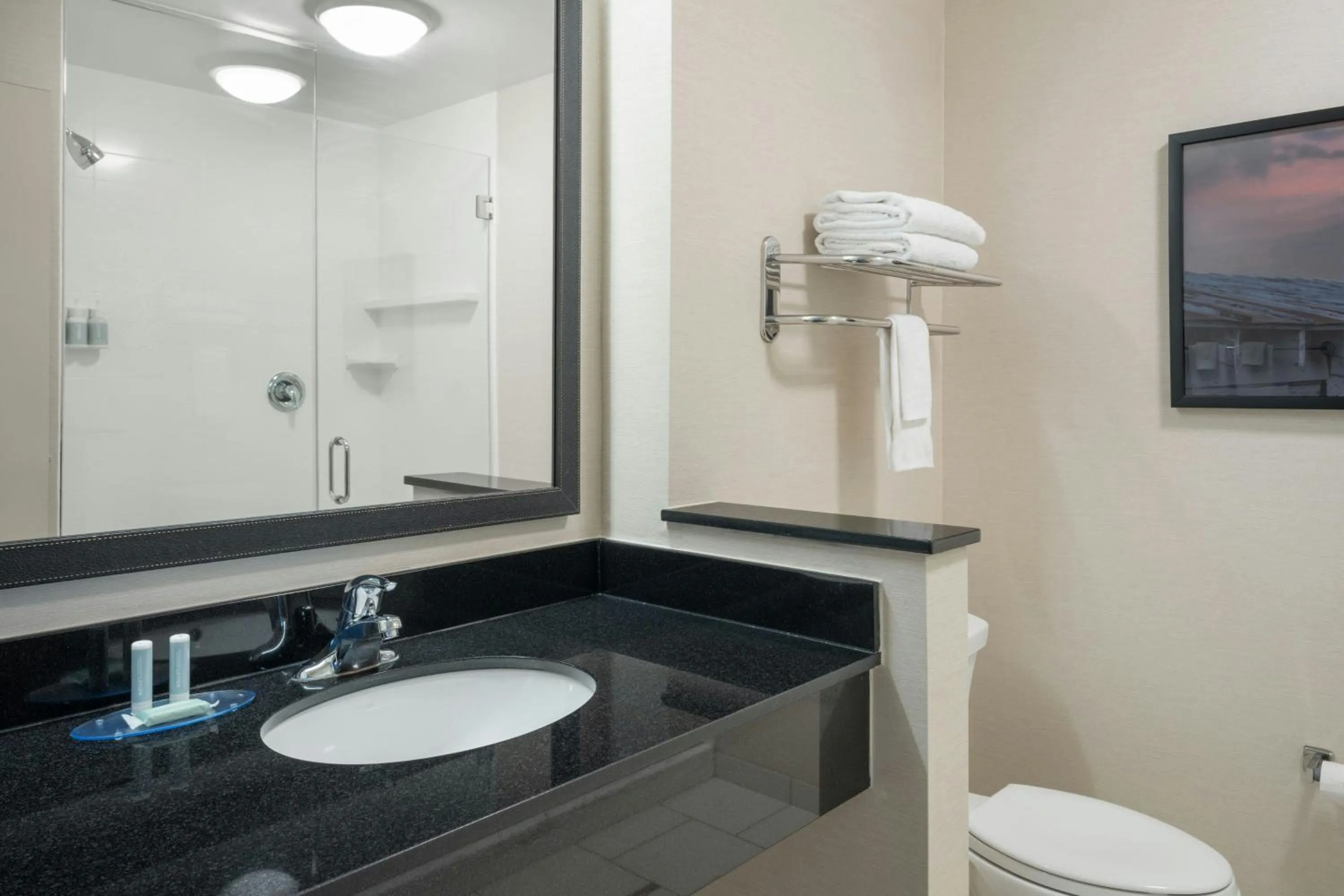 Bathroom in Fairfield Inn & Suites by Marriott Towanda Wysox