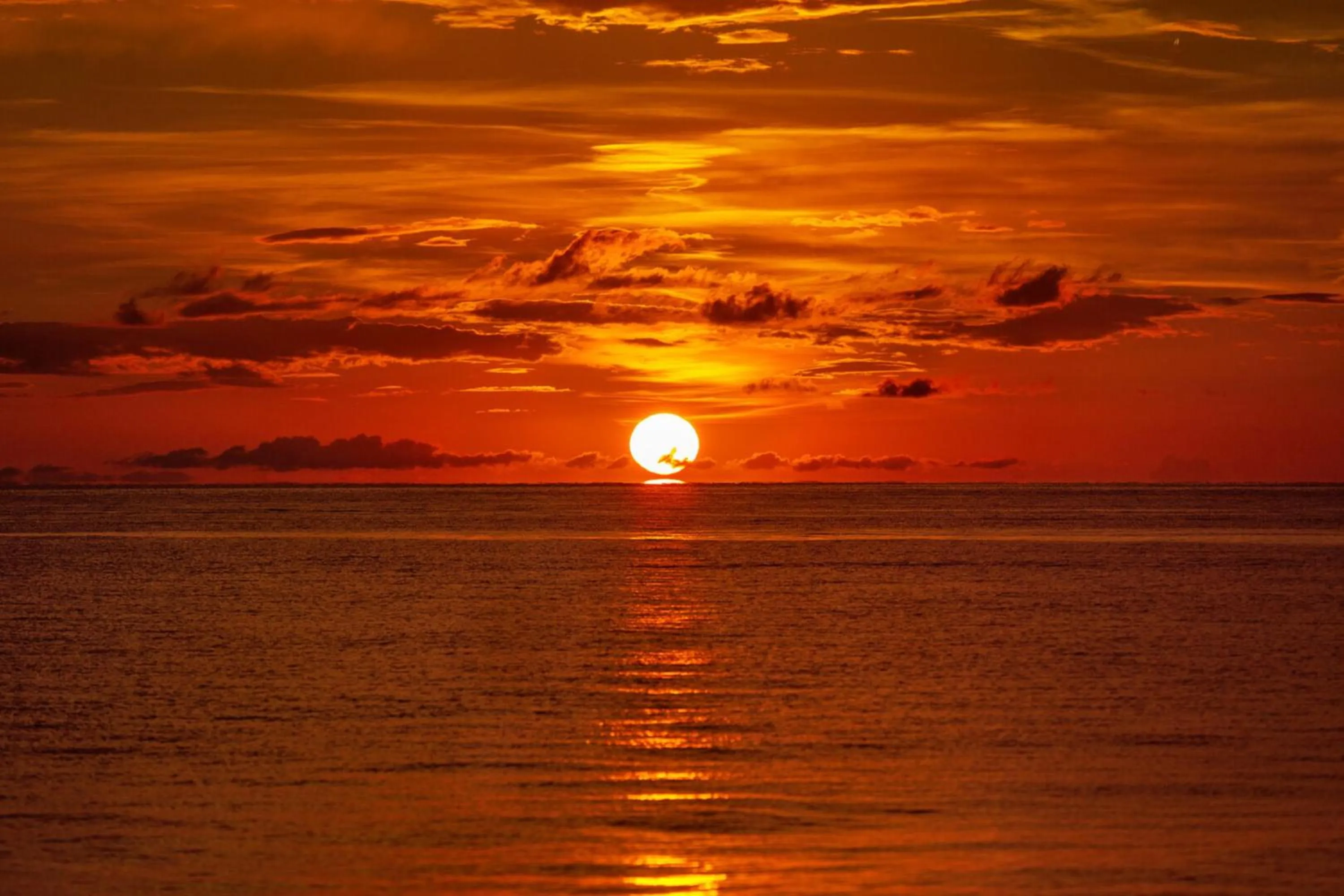 Natural landscape in Sardinia Vacation Rental