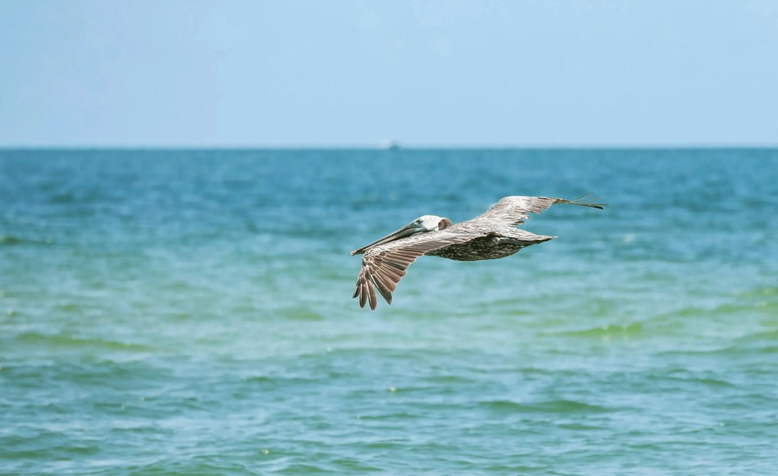 Day in Sardinia Vacation Rental