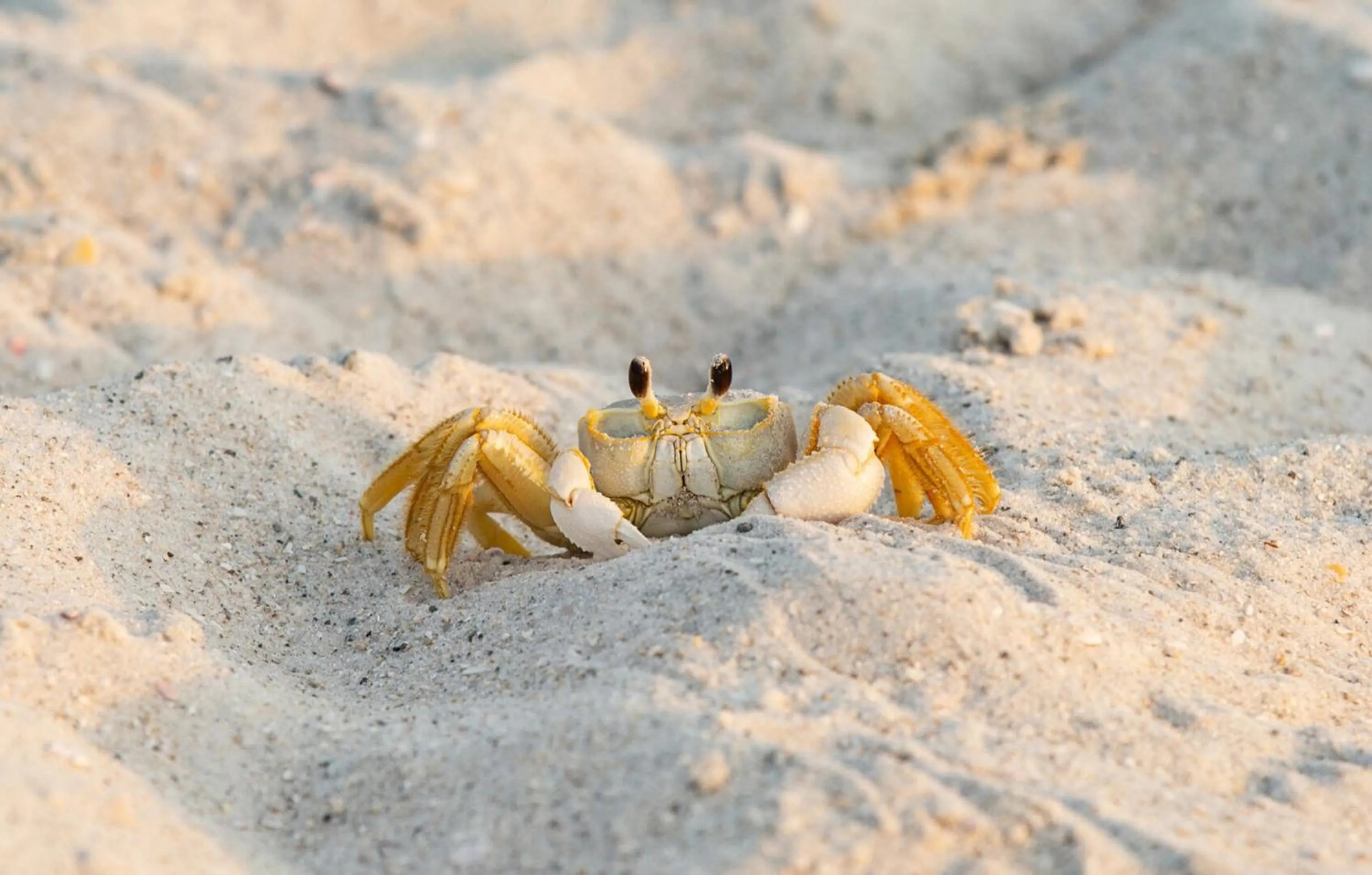 Day in Sardinia Vacation Rental