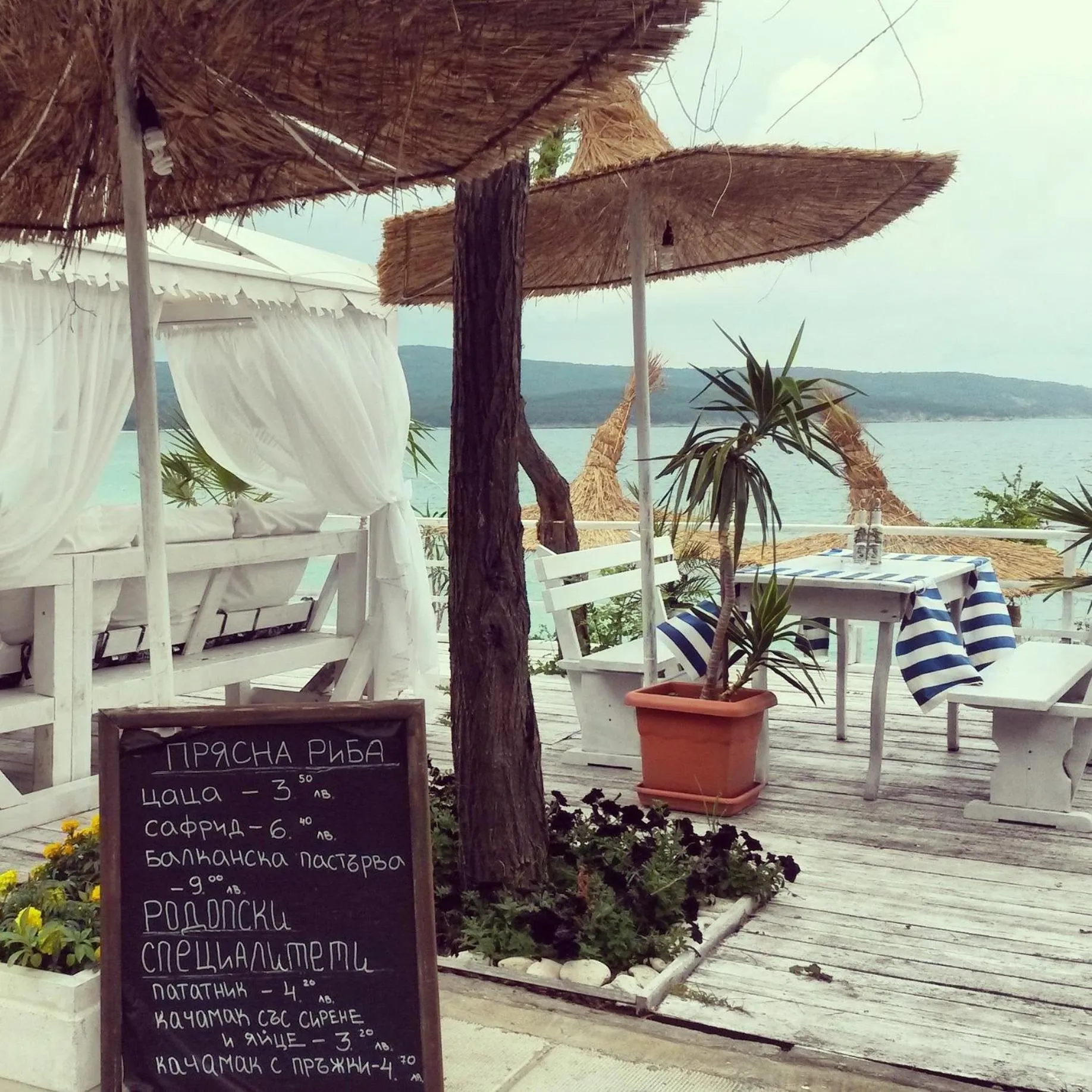 Restaurant/places to eat in Ashram Hotel