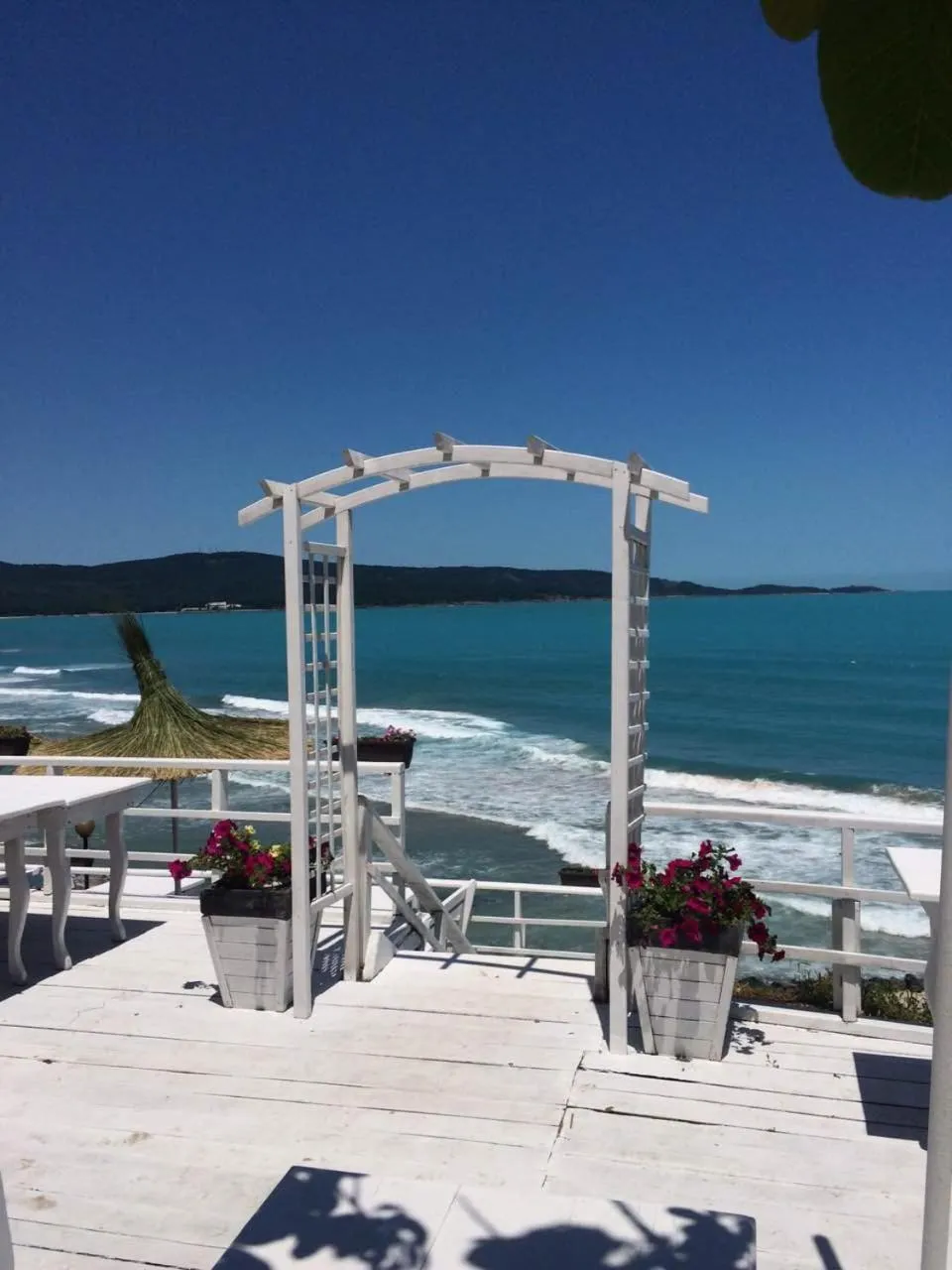 Restaurant/places to eat in Ashram Hotel