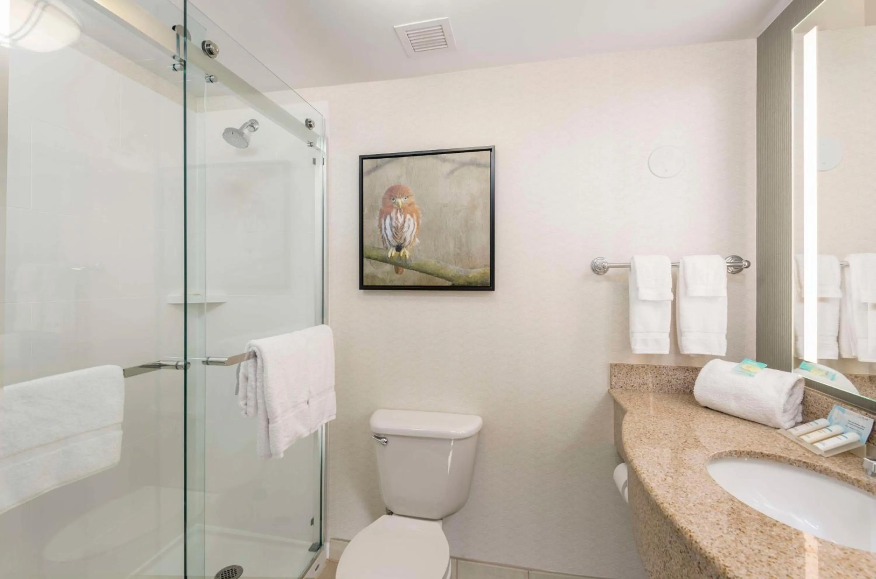 Bathroom in Hilton Garden Inn Scottsdale North/Perimeter Center