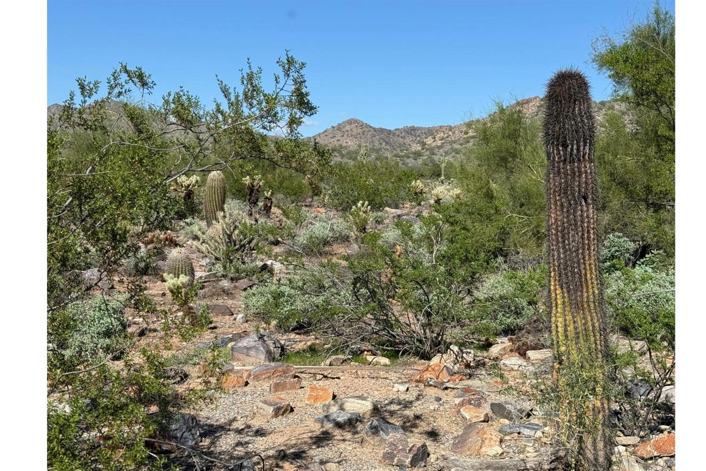 Sports in Hilton Scottsdale Resort & Villas