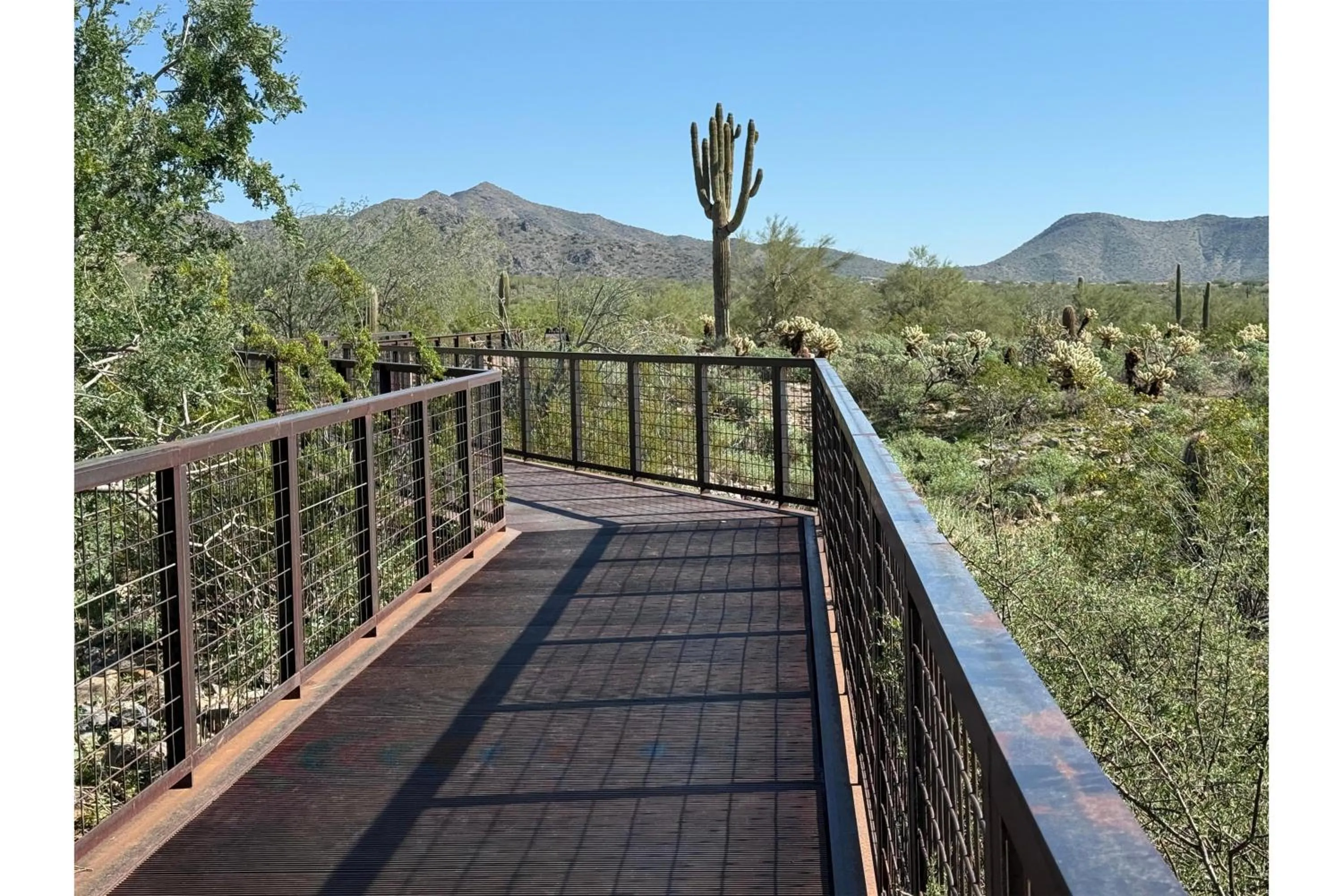 Sports in Hilton Scottsdale Resort & Villas