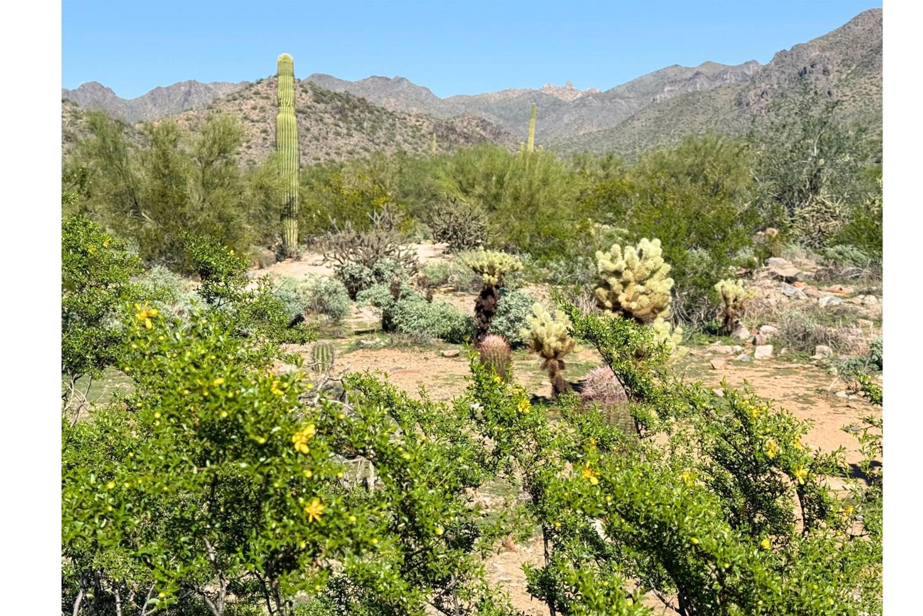 Sports in Hilton Scottsdale Resort & Villas