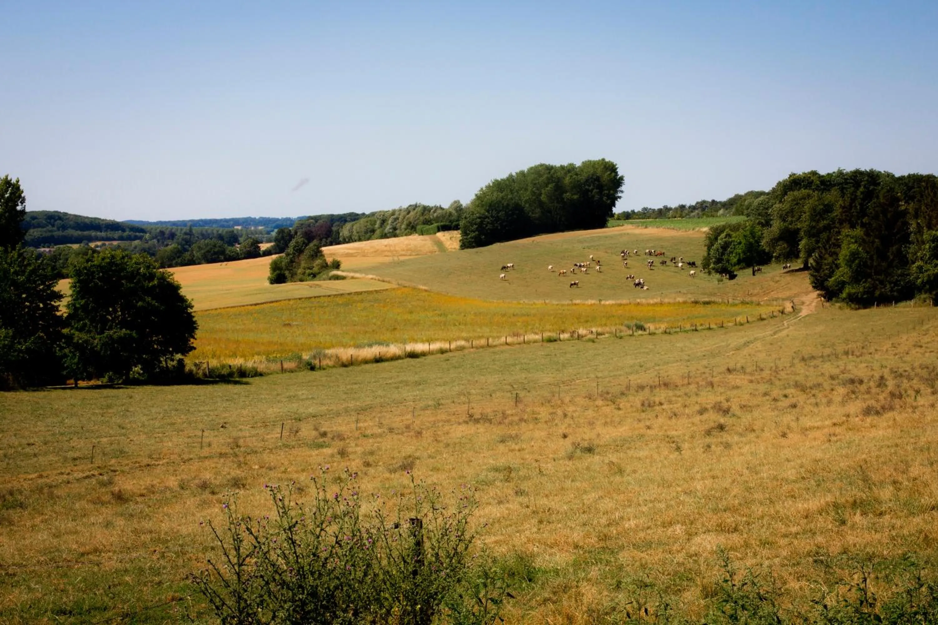 Natural landscape in Chez Spoons B&B