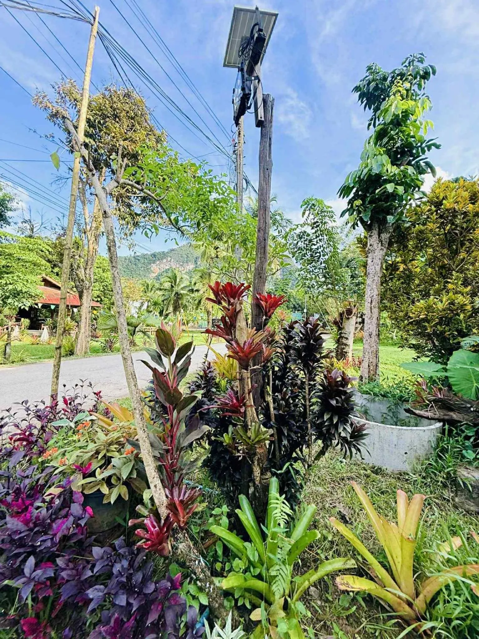 Property building in Khao Sok Nung House