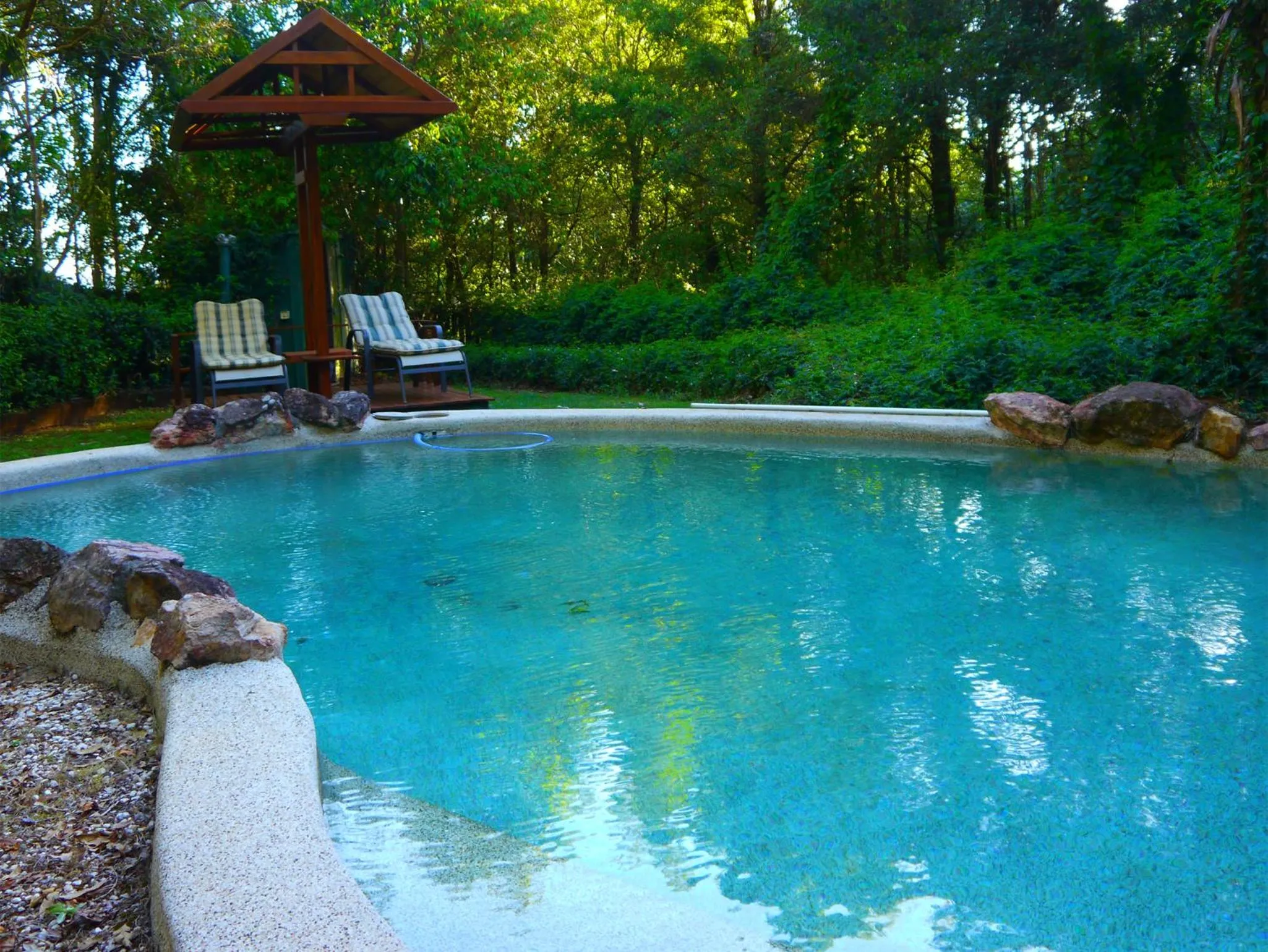 Swimming pool in Lillypilly's Cottages & Day Spa