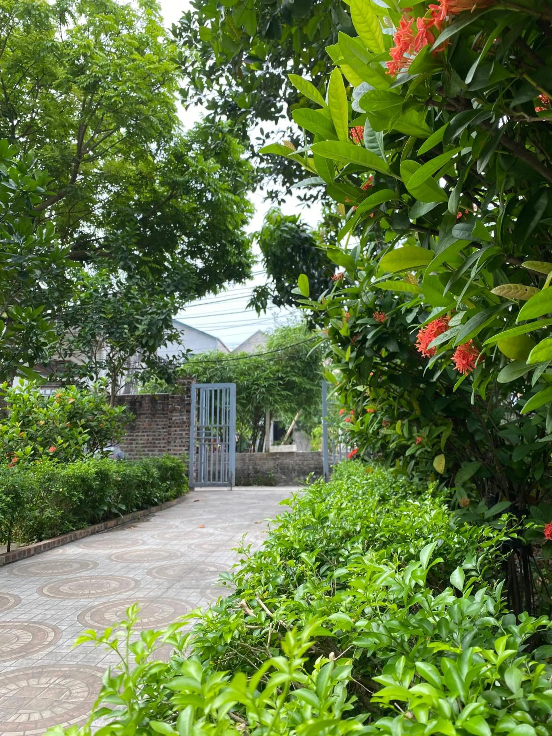 Day in Tam Coc Golden Sky Homestay