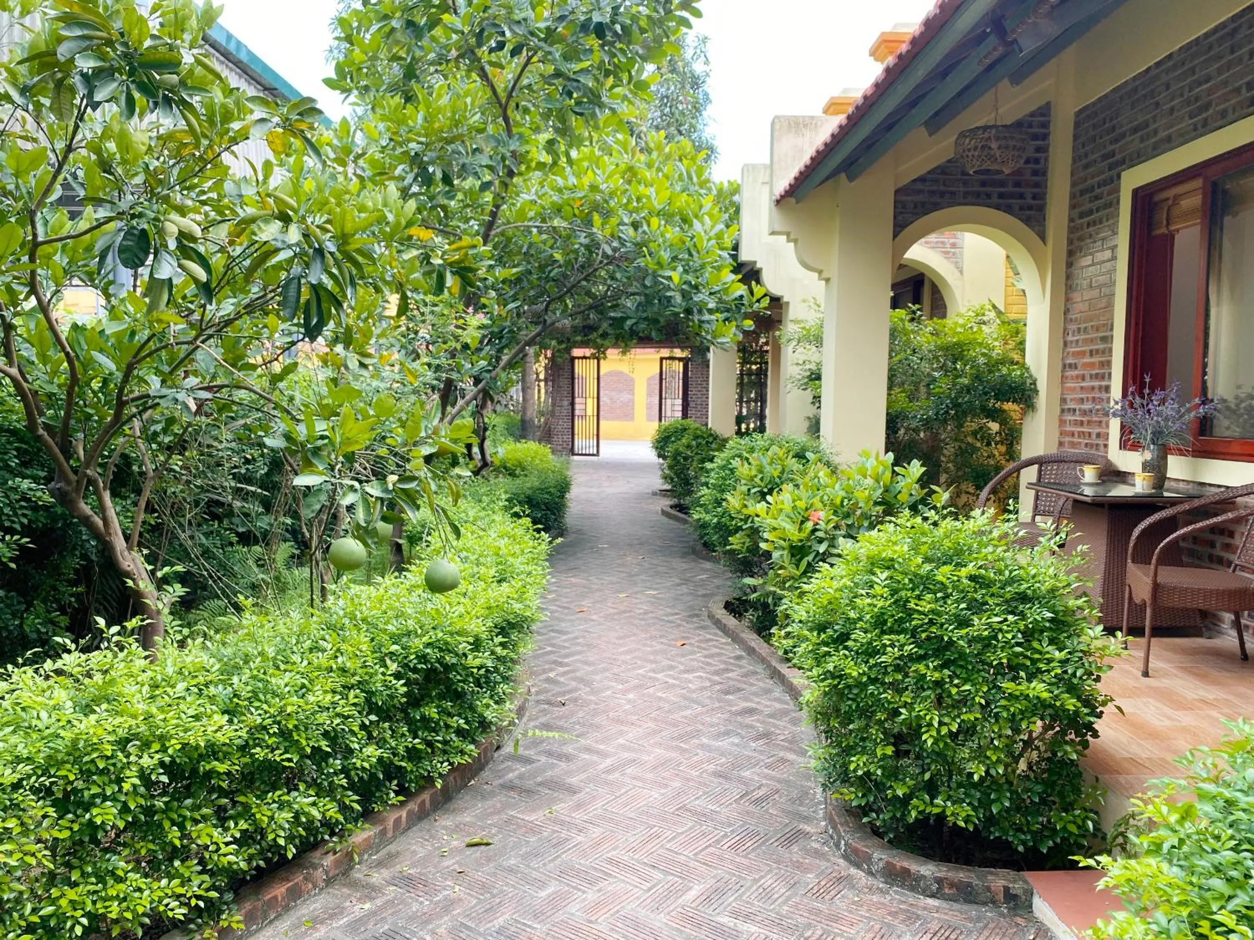 Garden in Tam Coc Golden Sky Homestay