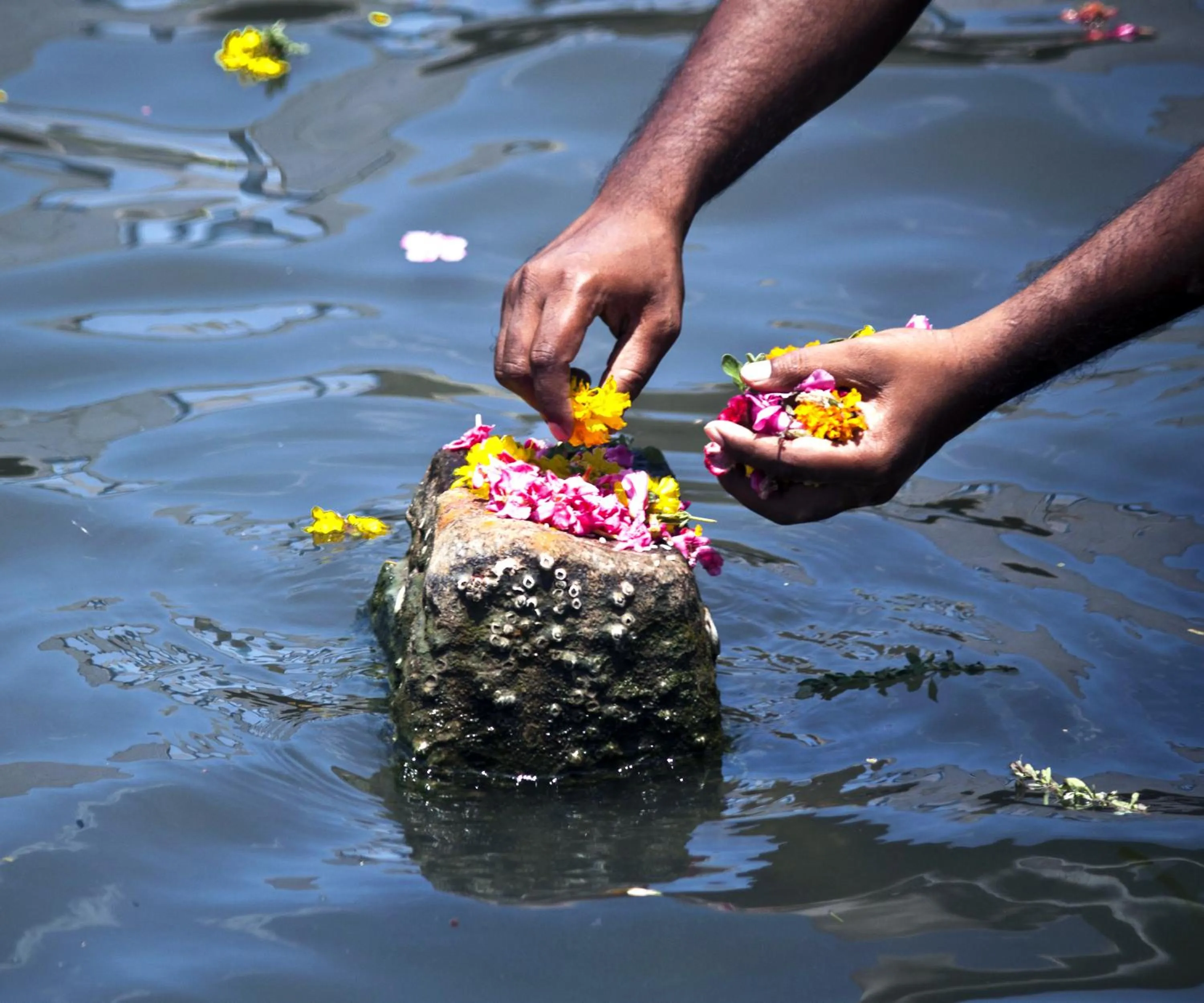 Other in Daiwik Hotels Rameswaram